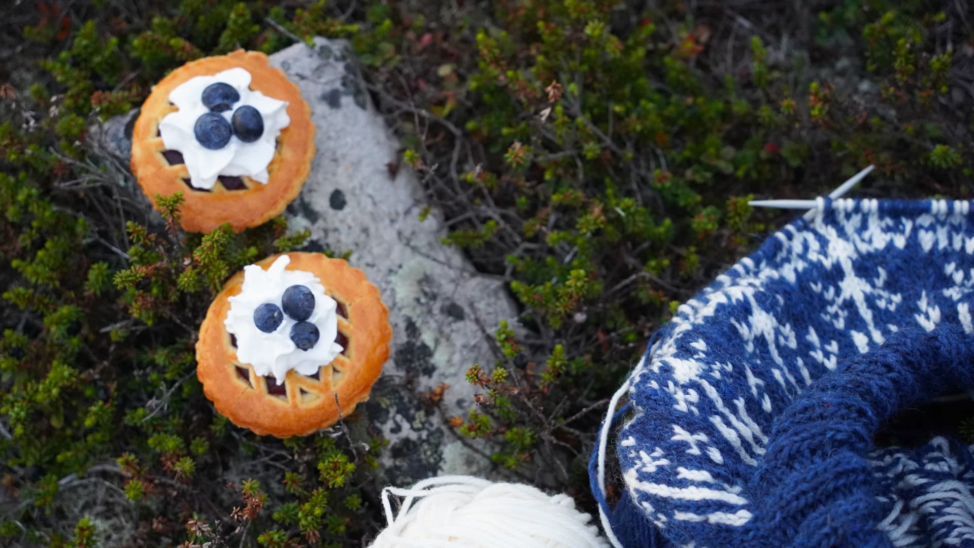 In the ground, two small round blueberry pies decorated with whipped cream and blueberries, and a colourwork knitting project on circular needles next to a white ball of yarn.