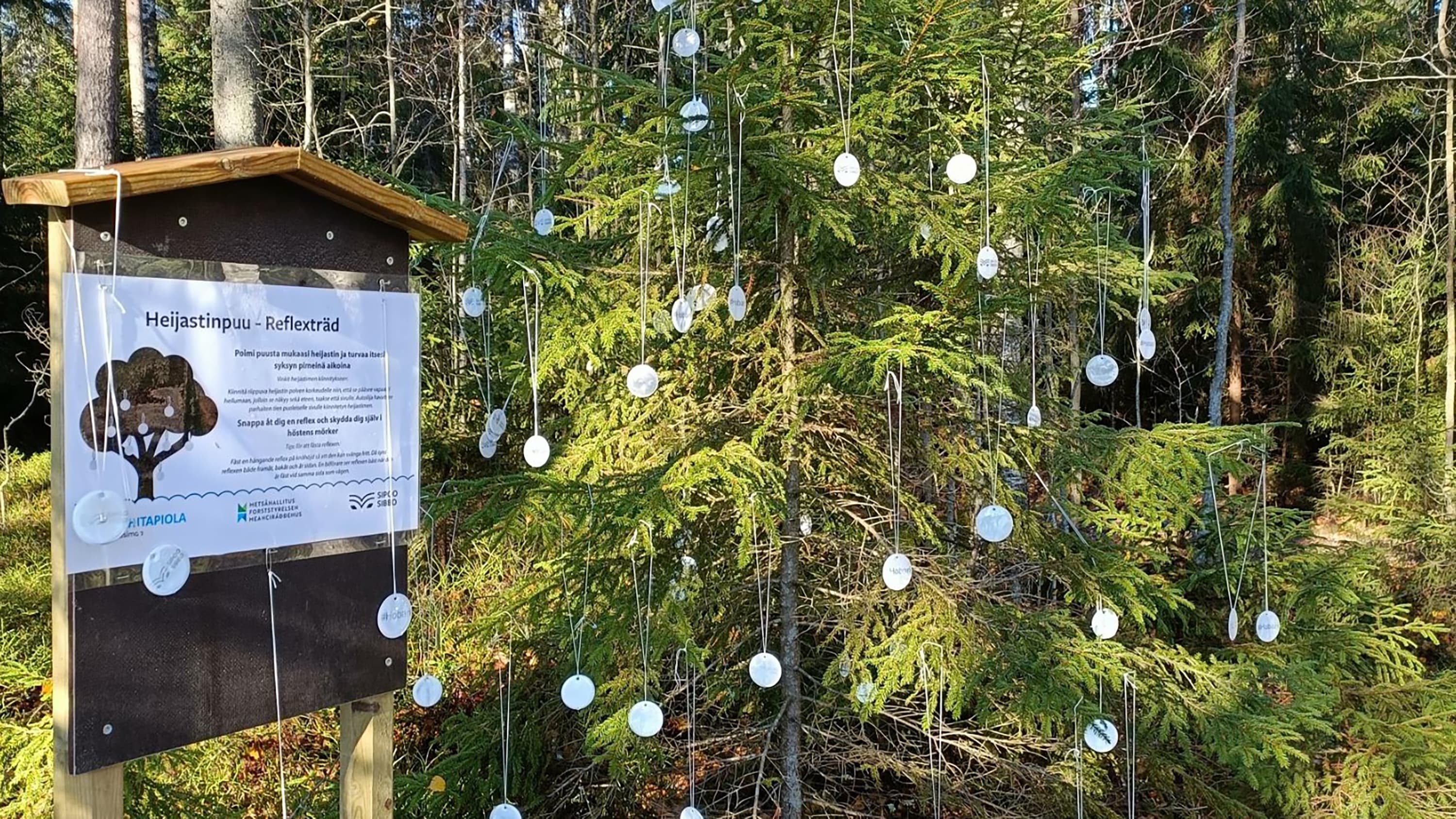 Maastotaulu metsässä.