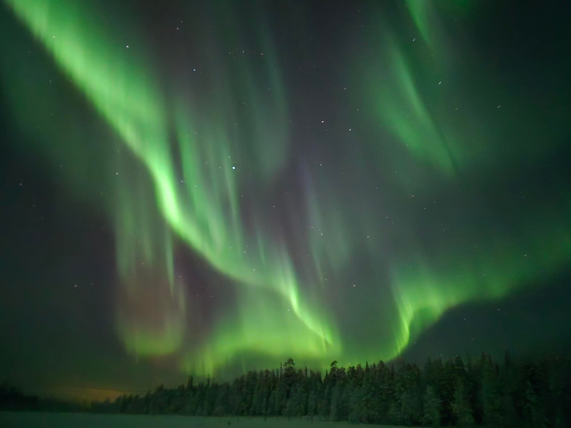 Vihreänä loimottavat revontulet Syötteen kansallispuistossa Teerivaaran päällä.