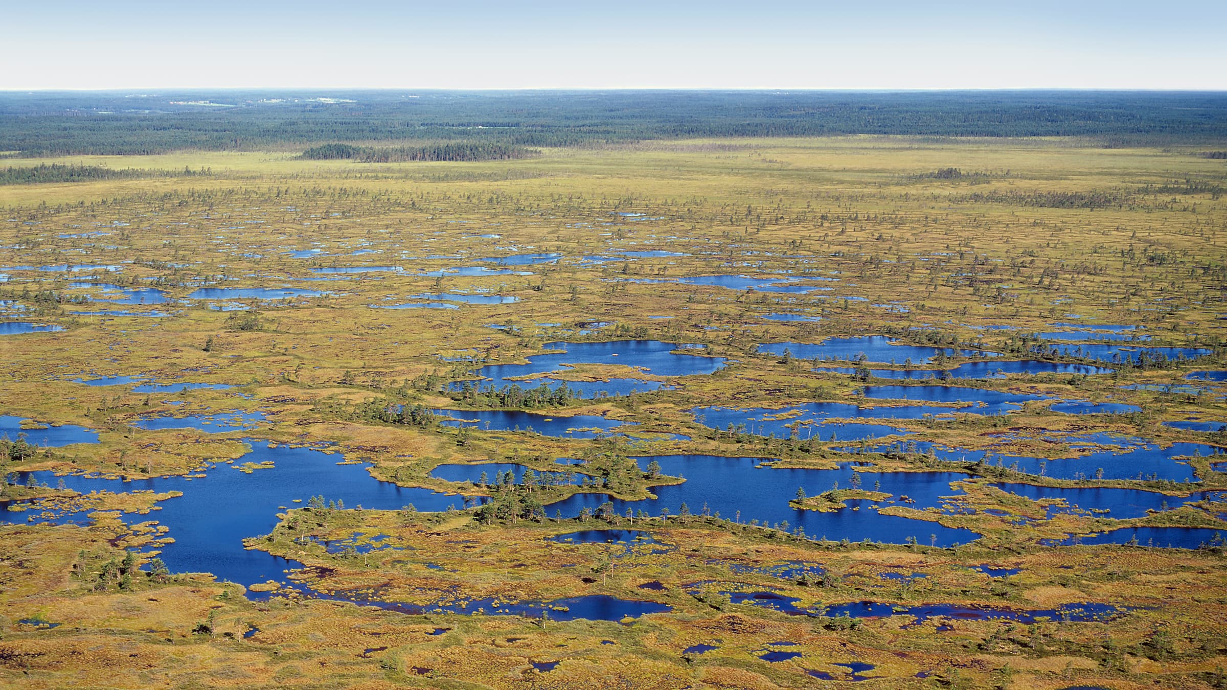 Kuva: Hannu Vallas Kauhaneva-Pohjankangas suoalue ilmasta käsin näyttäytyy laajana kokonaisuutena.