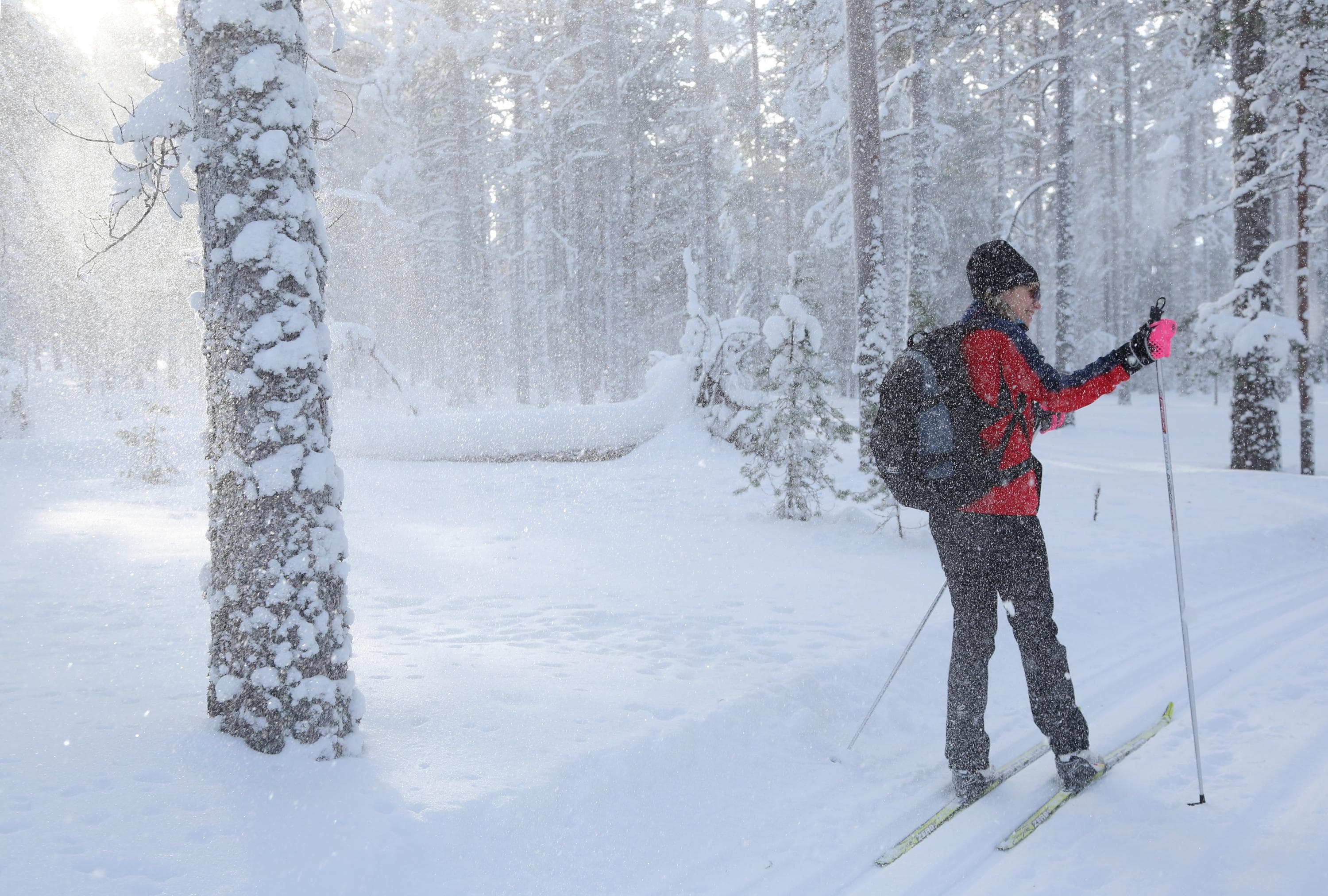 Kuva: Ismo Nousiainen / Taikapolku Retkeilijä hiihtämässä. Lunta tuiskuaa lumisessa metsässä.