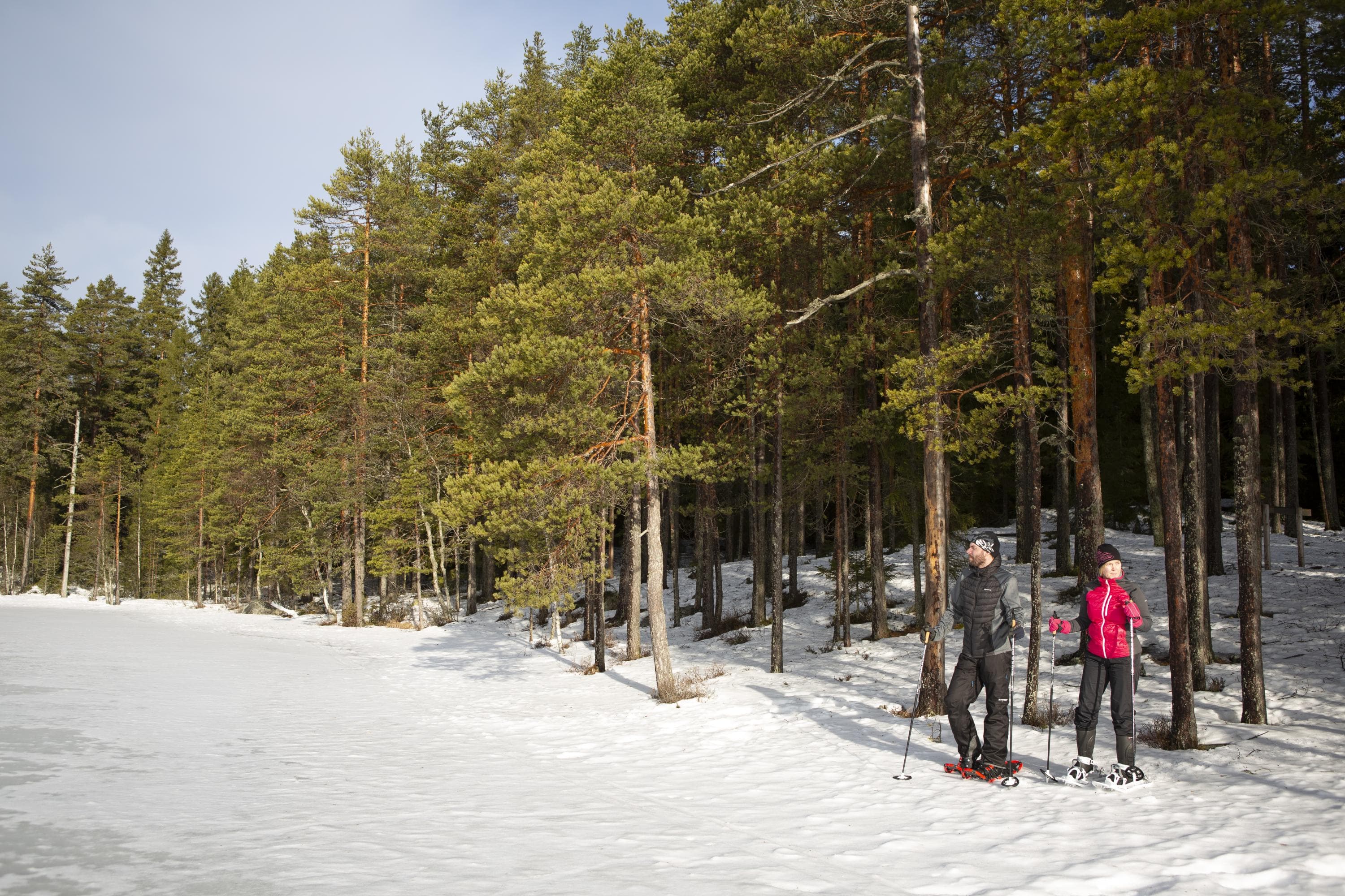 Kuva: Salla Penttilä. Henkilöt lumikenkäilevät lammen rannassa.