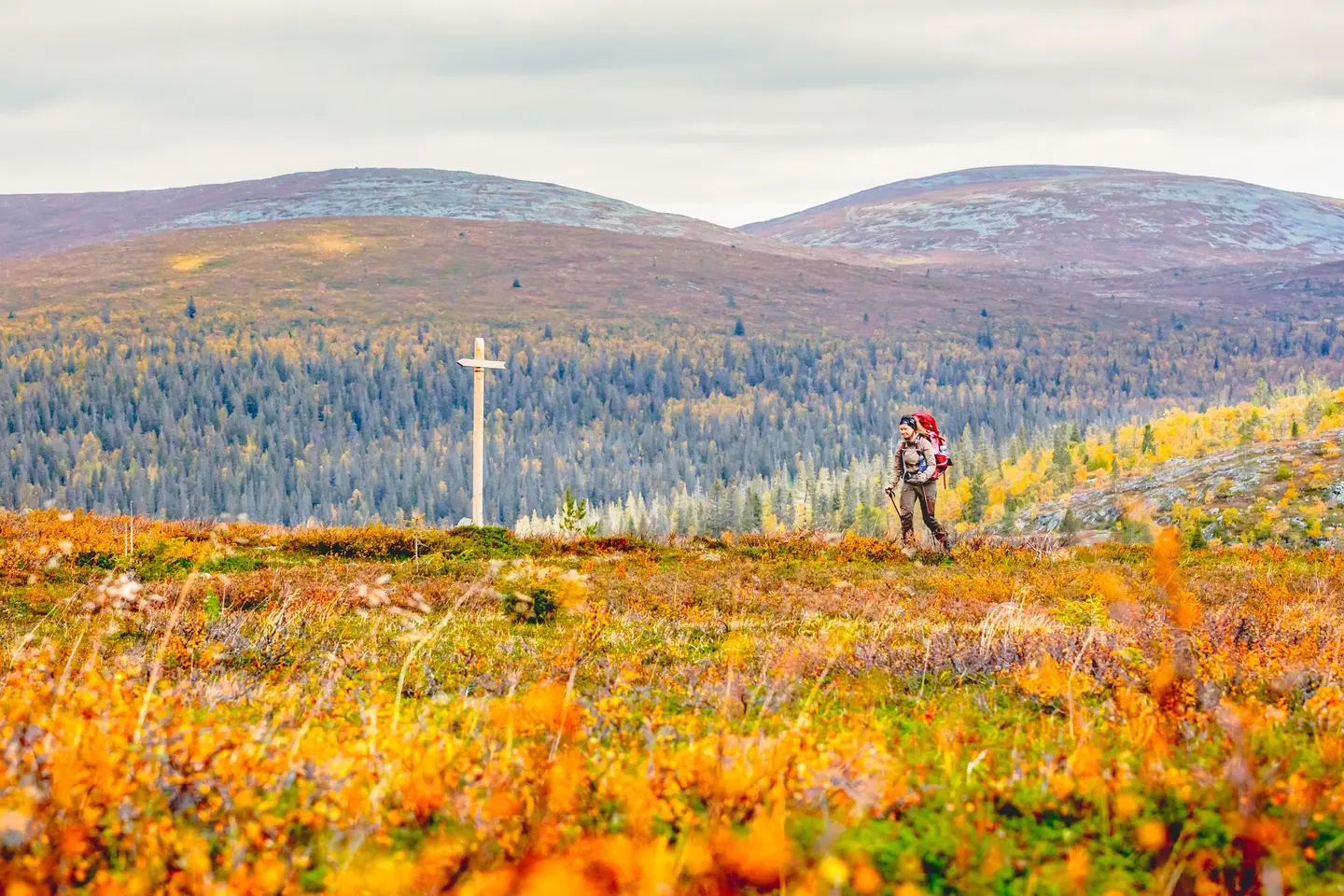 Image: Rami Valonen Leaves colored by autumn. A lone hiker walks on the trail. In the background, a mountainous landscape.