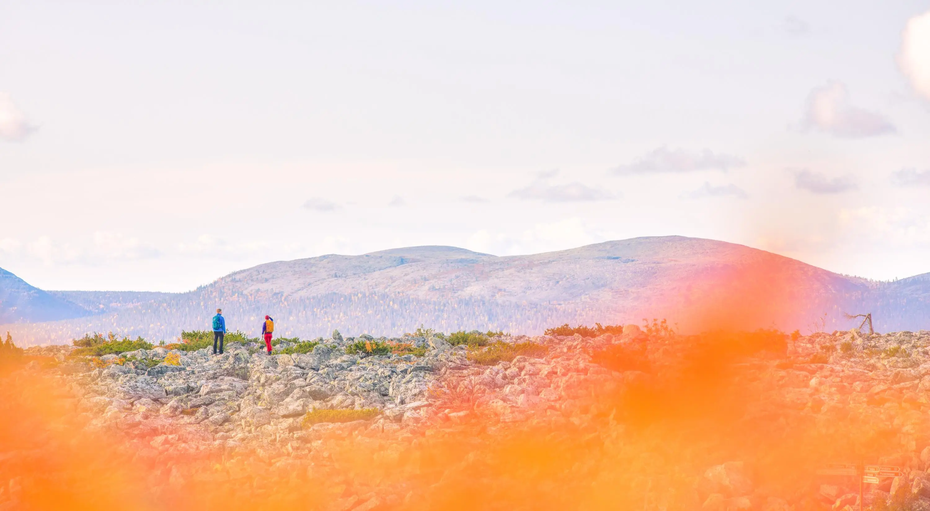 Moloslaen Kierros Trail