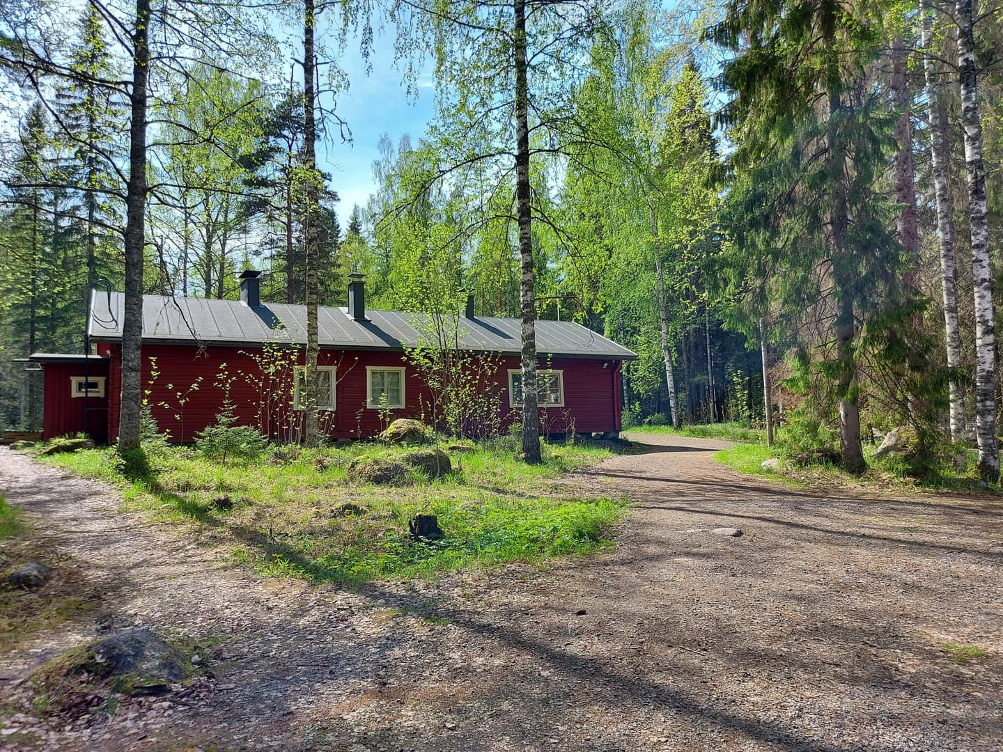 Bild: Minna Malinen En röd timmerbyggnad i mitten av björkträd.