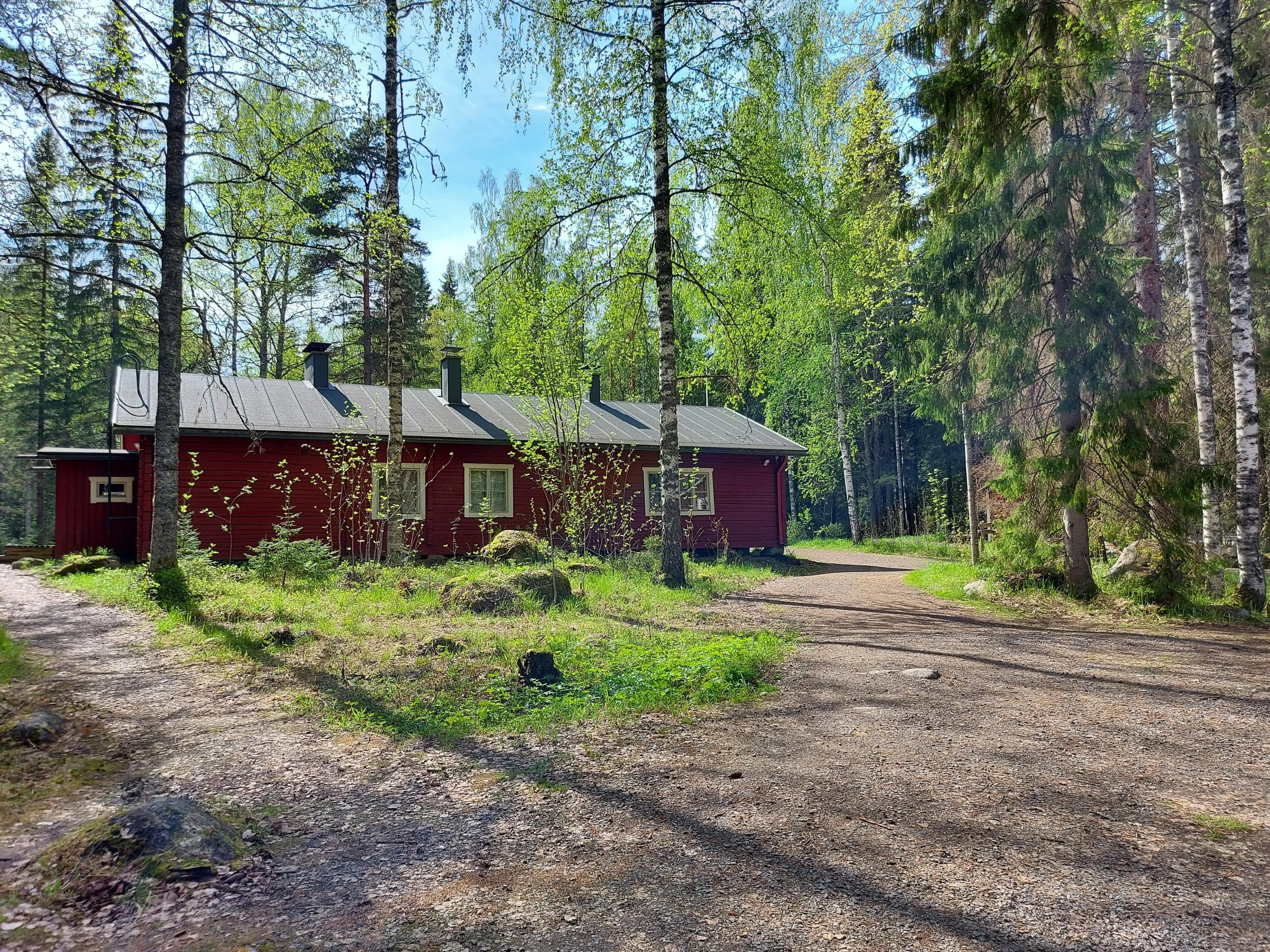 Image: Minna Malinen A red log building in the middle of birch trees.