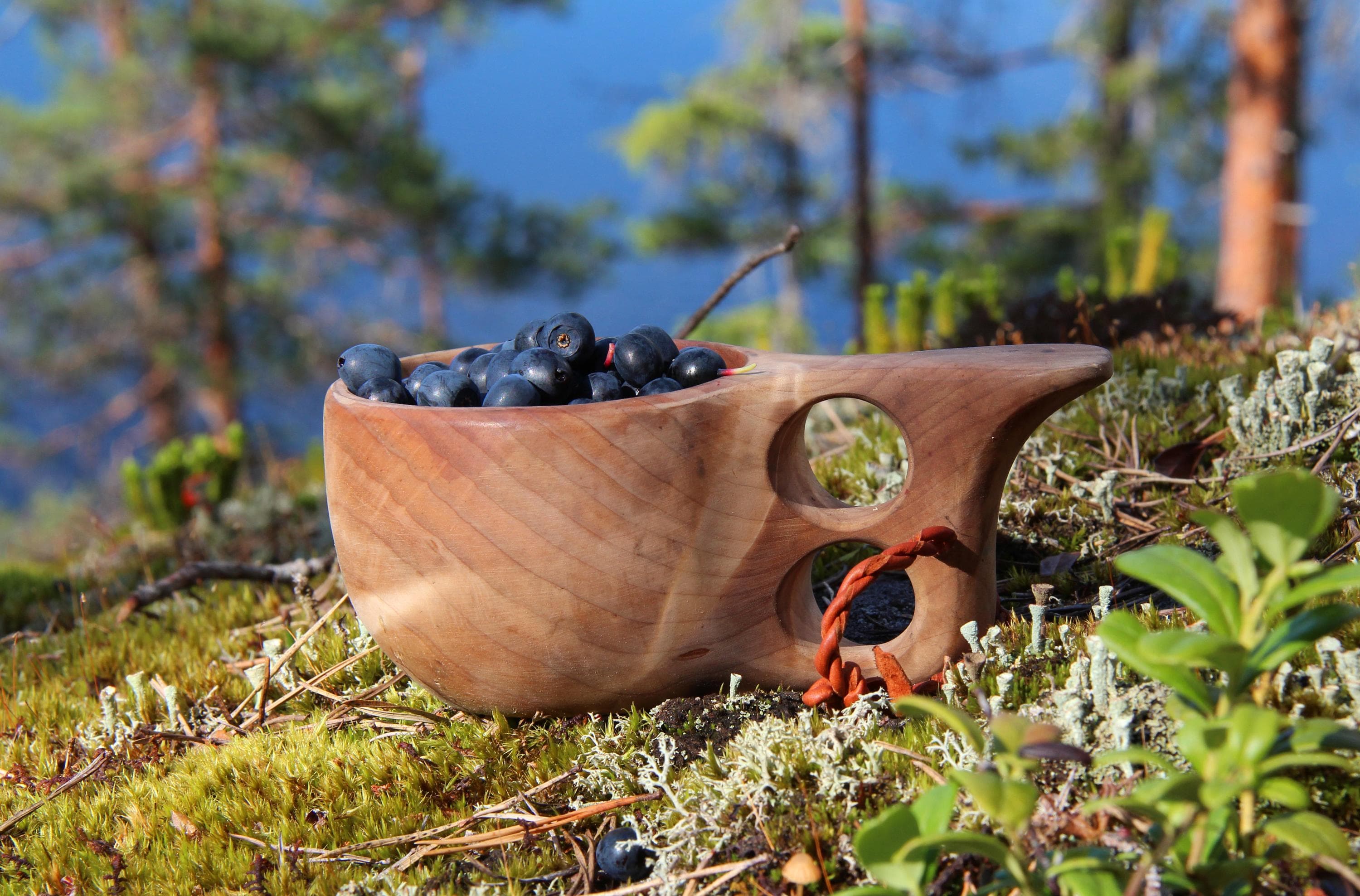 Kuva: Ari Väisänen Maassa sammaleiden ja jäkälien päällä on kuksa täynnä mustikoita. Taustalla näkyy vettä ja puiden latvoja.