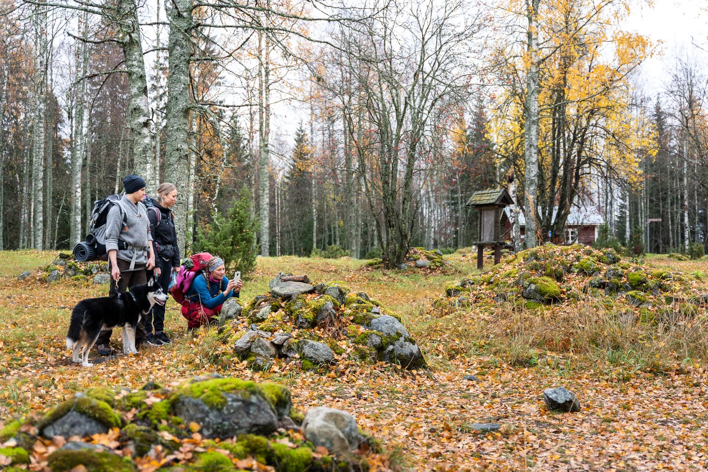 Image: Mitja Piipponen Three hikers and a dog in the yard of a red cabin. One of them is photographing a pile of stones.