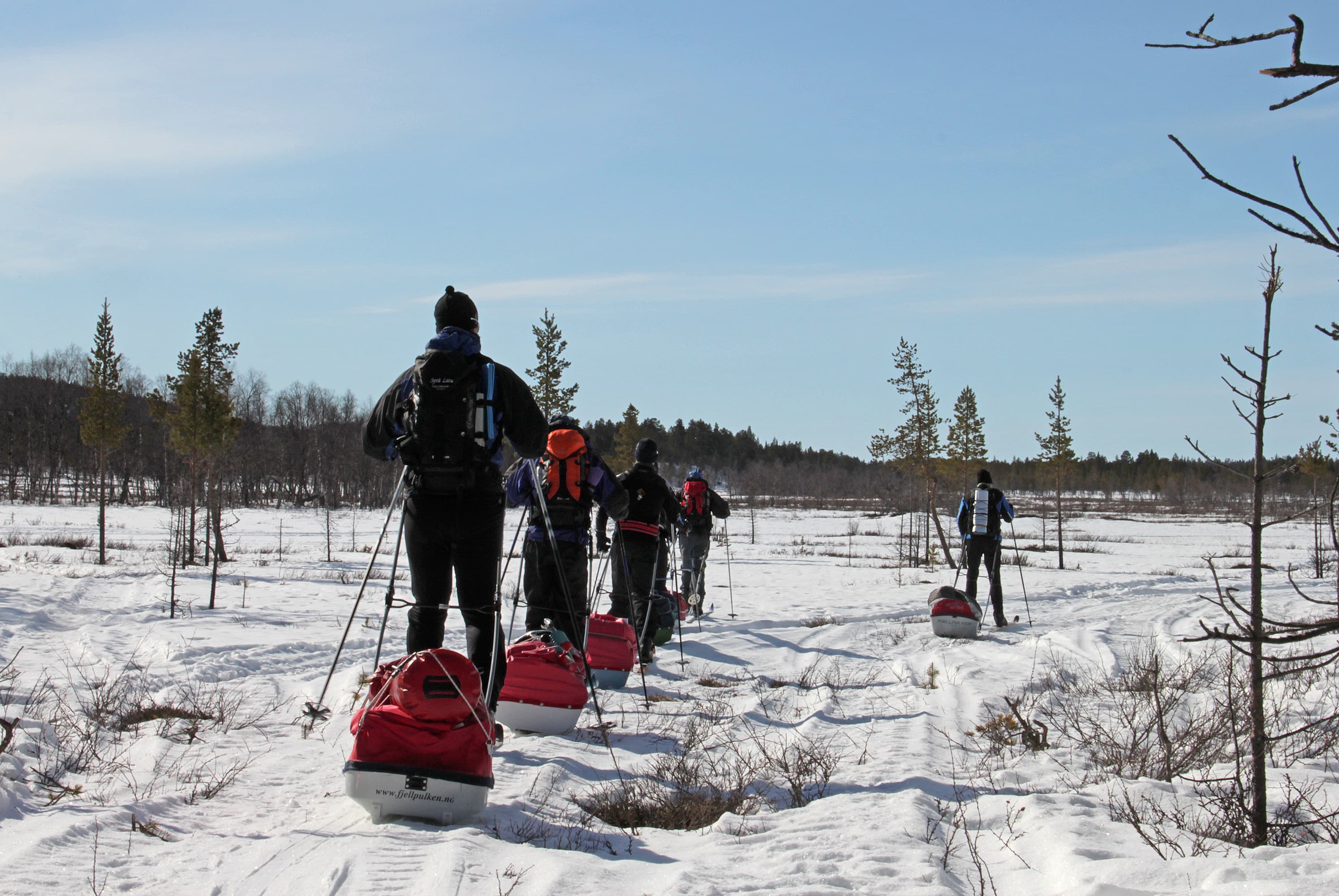 Bild: Kirsi Ukkonen Skidåkare på en solig vinterdag. Skidåkarna har pulkor bakom sig.