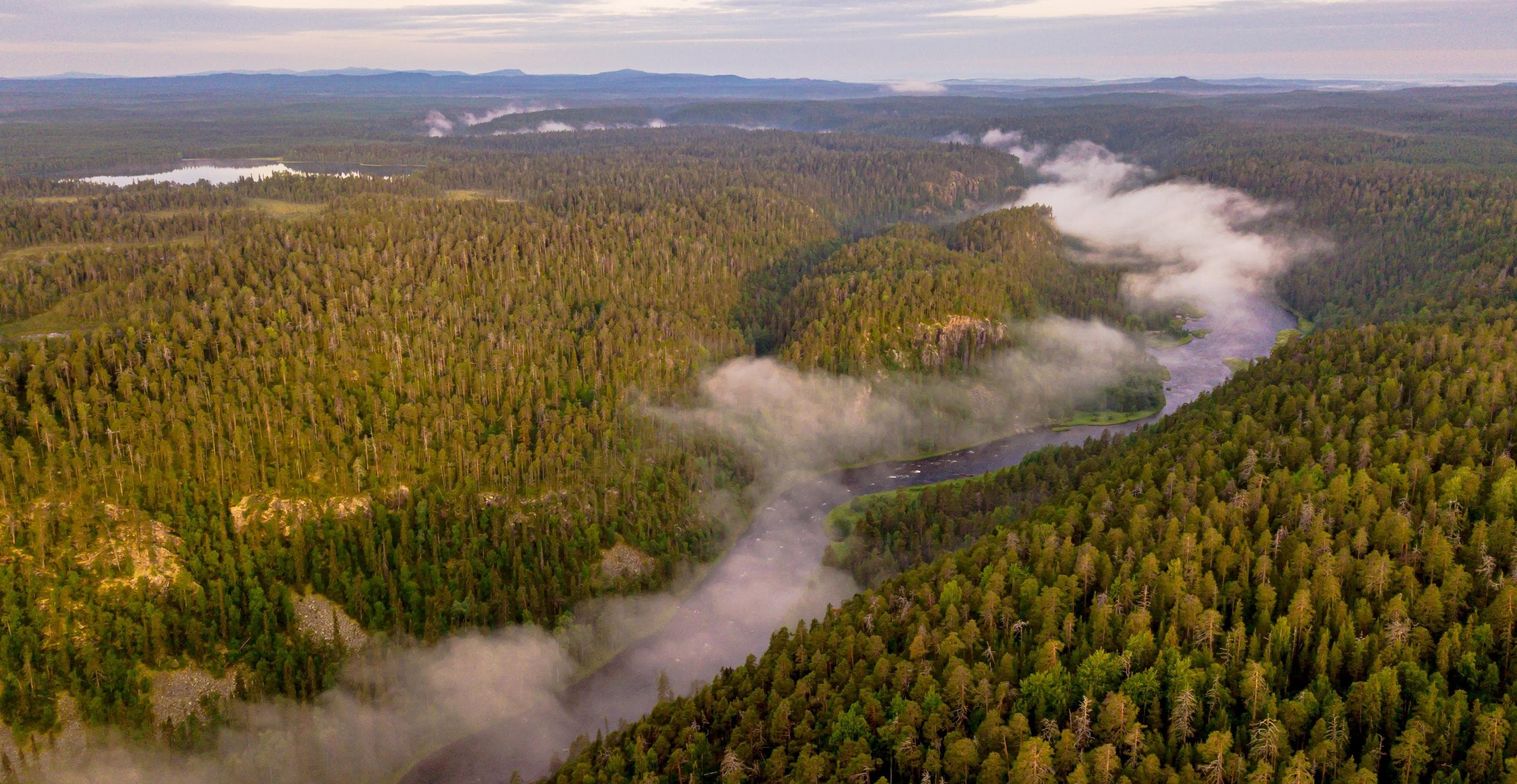 Image: Ville Levijärvi Aerial view of a forest landscape illuminated by the morning sun, with a narrow river flowing through the center. Mist hovers above the river.
