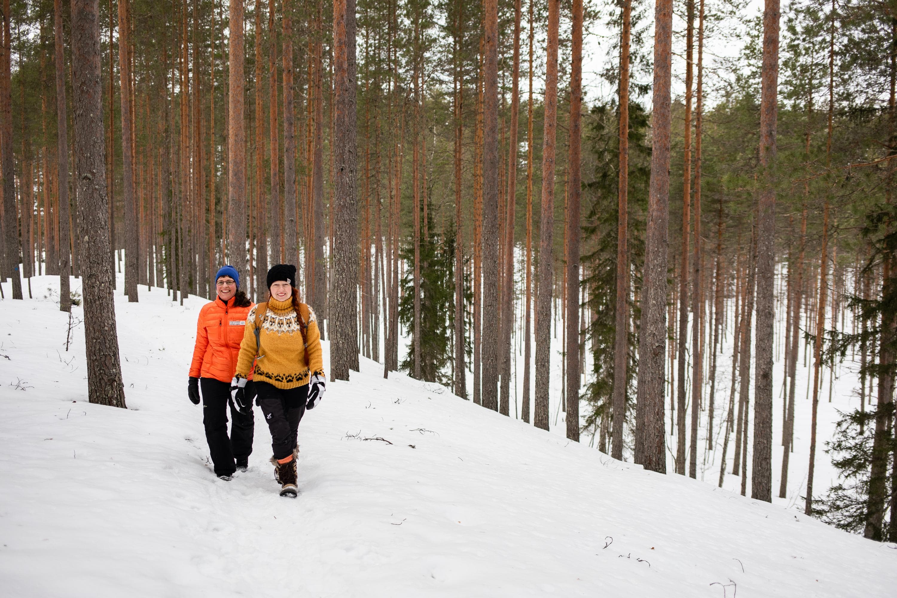 Bild: Ulla Keituri Två vandrare som går i en vintrig tallskog.