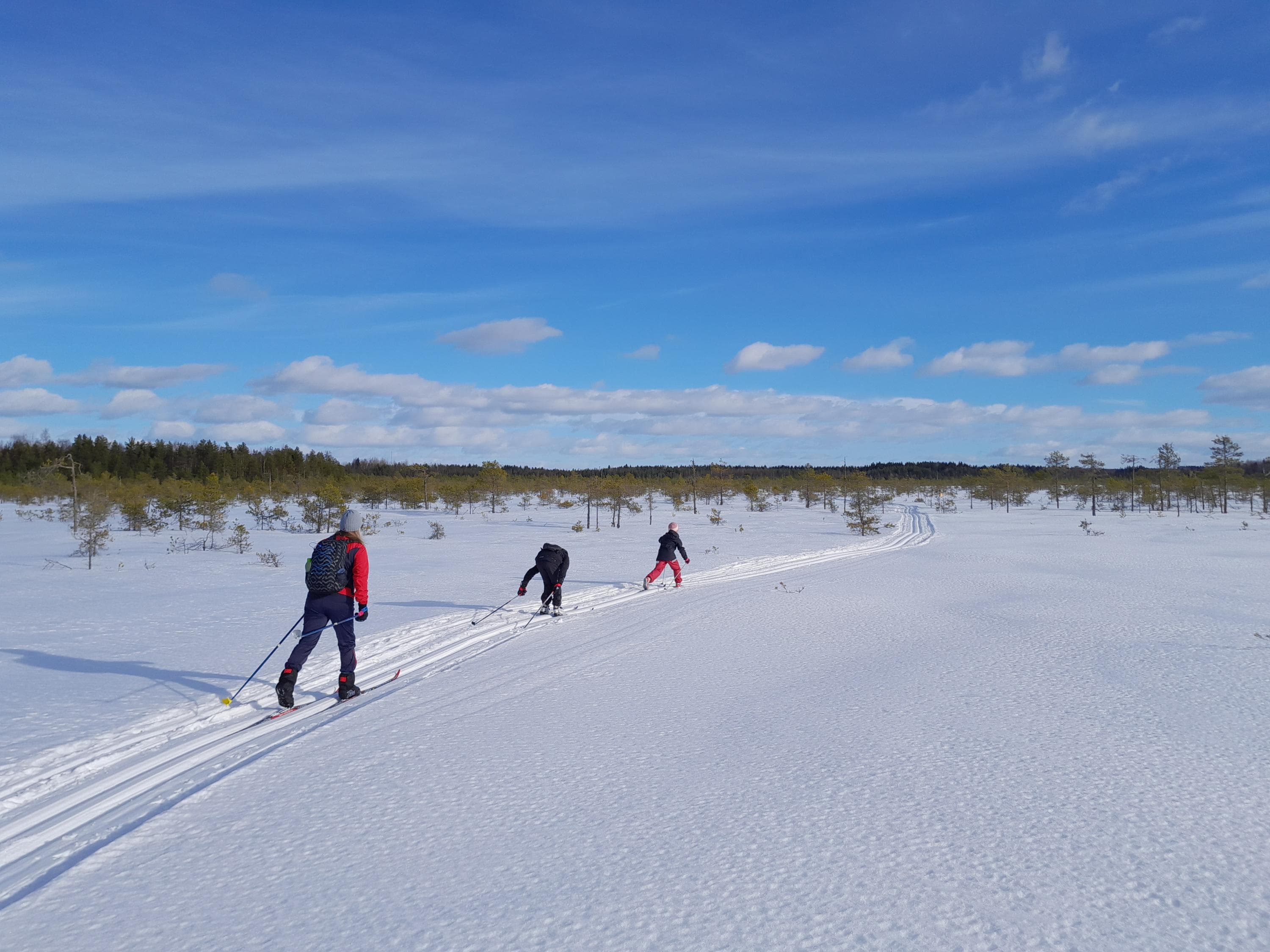 Bild: Jere Ekosaari Skidåkar skidar längs ett skidspår i ett vintrigt myrlandskap.