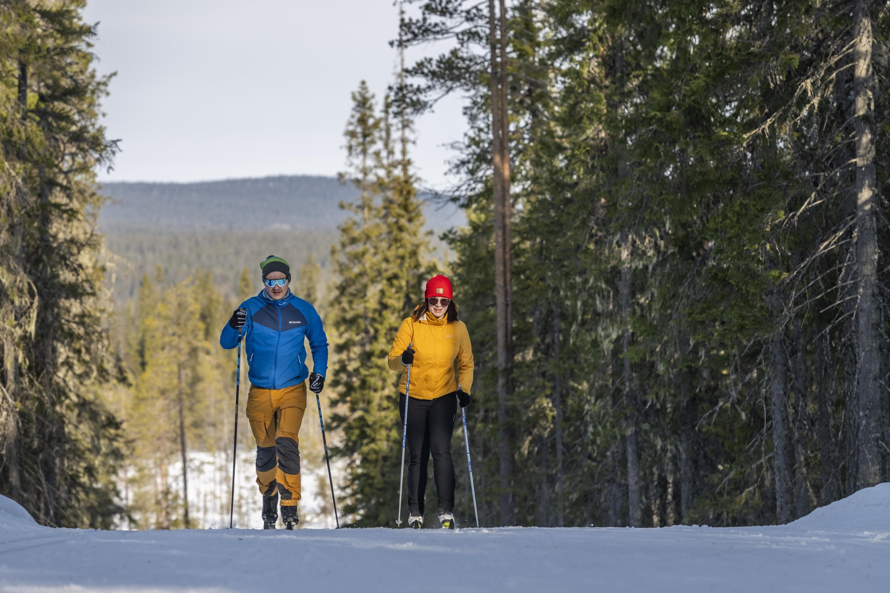 Image: Sami Säily Two skiers skiing on a snowy forest trail in a winter landscape. The skiers are dressed in bright, warm clothing, and in the background, you can see conifer trees and snowy hills.