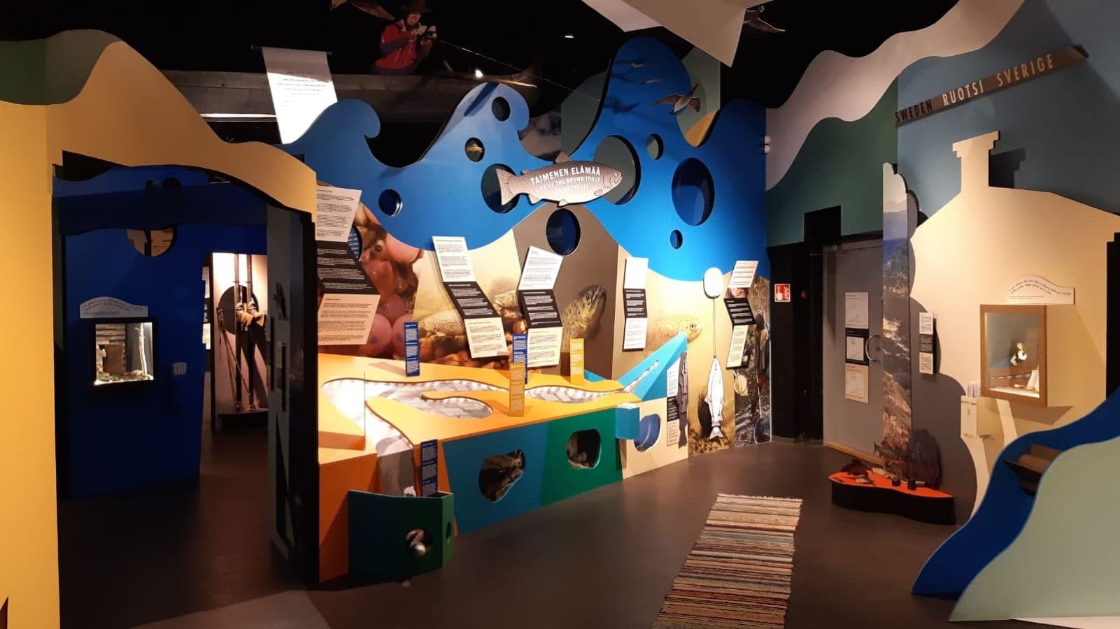 Kuva: Paula Lappalainen Värikkäitä näyttelykulisseja Taimenen elämää näyttelyssä.