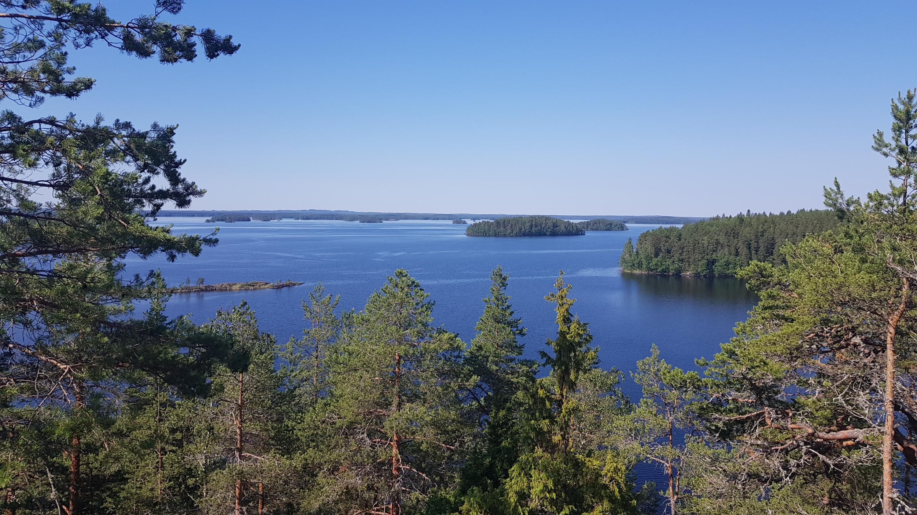 Image: Minna Auttila Kesäinen järvimaisema.