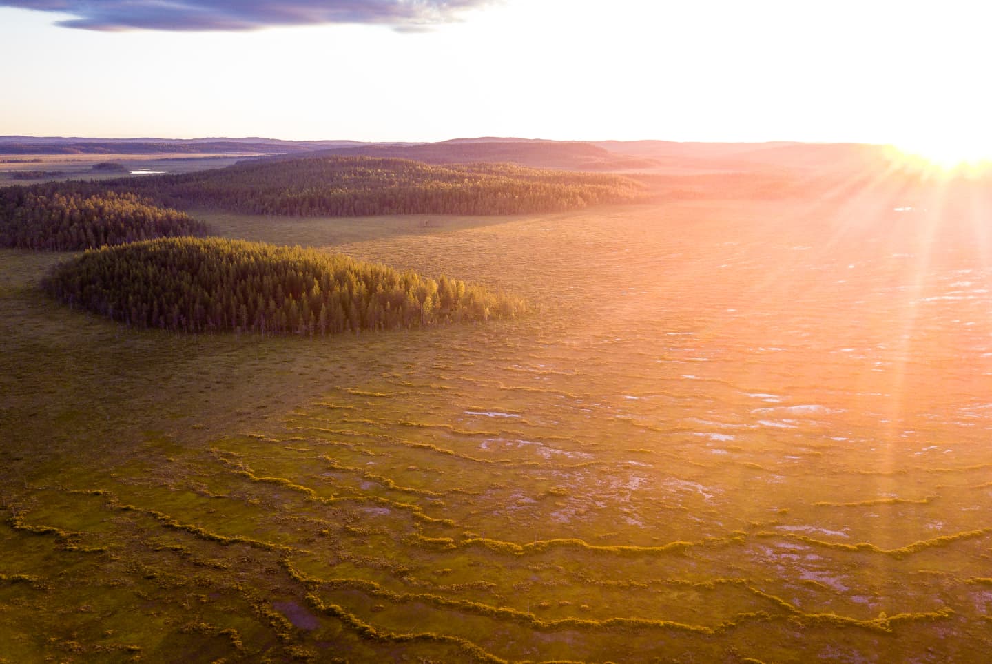Image: Mitja Piipponen A top-down view of an open bog landscape with forested islands. The sun is shining towards the photographer.