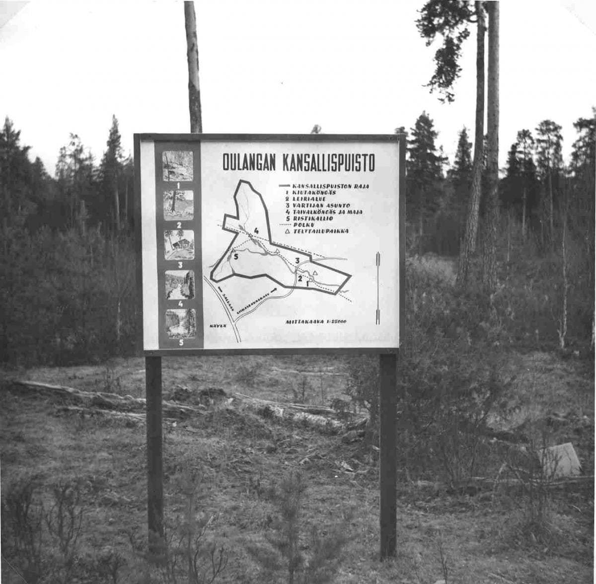 Kuva: Olavi Linnamies Vanha mustavalkoinen kuva, jossa on Oulangan kansallispuiston opastetaulu. Taulussa on kartta kansallispuiston alueesta.