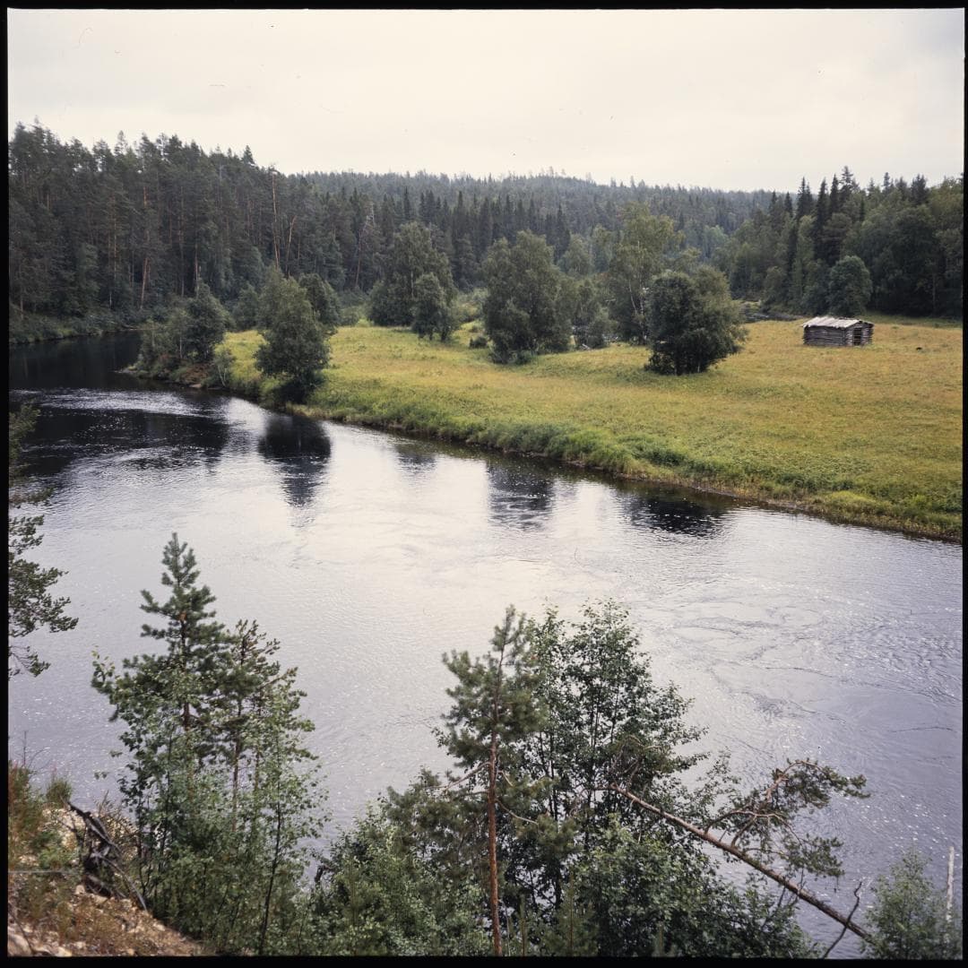 Kuva: Urpo Häyrynen Vanha valokuva. Hiekkatörmän päältä kuvattu jokea, jonka toisella puolella on luonnonniitty ja vanha heinälato.