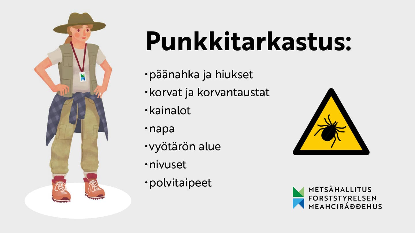 Image: Antti Huhtala Piirroskuvassa maastoasuinen henkilö ja teksti: Punkkitarkastus: päänahka ja hiukset, korvat ja korvantaustat, kainalot, napa, vyötärön alue, nivuset, polvitaipeet. Punkin kuva varoituskolmion sisällä.