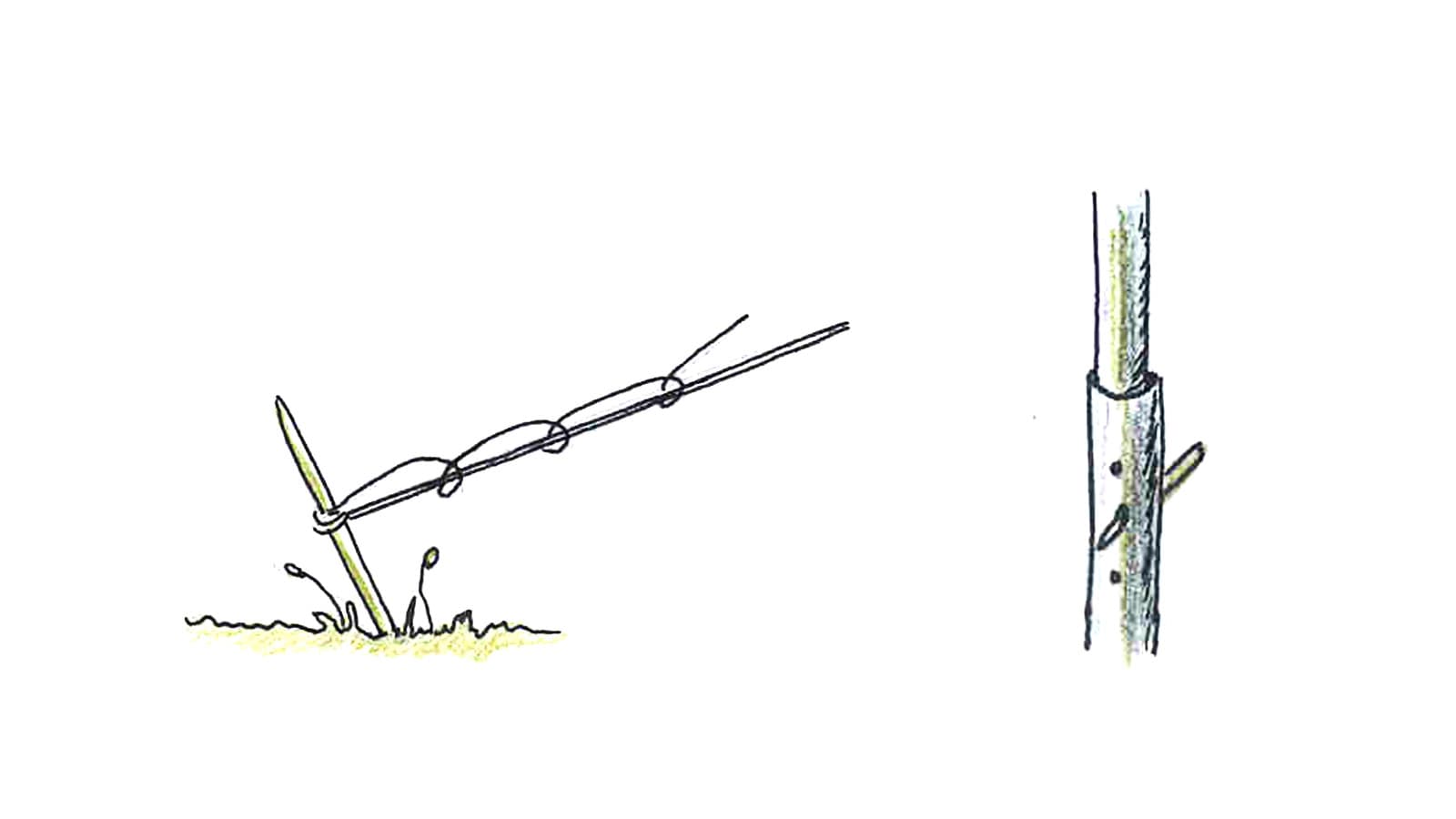 Bild: Titta Jylhänkangas En ritad bild av en tältkil, tältets spännlinor har lindats runt kilen. En ritad bild av tältets mittpåle där pålens översta del har låsts vid den mittersta delens hål med en tapp i metall.