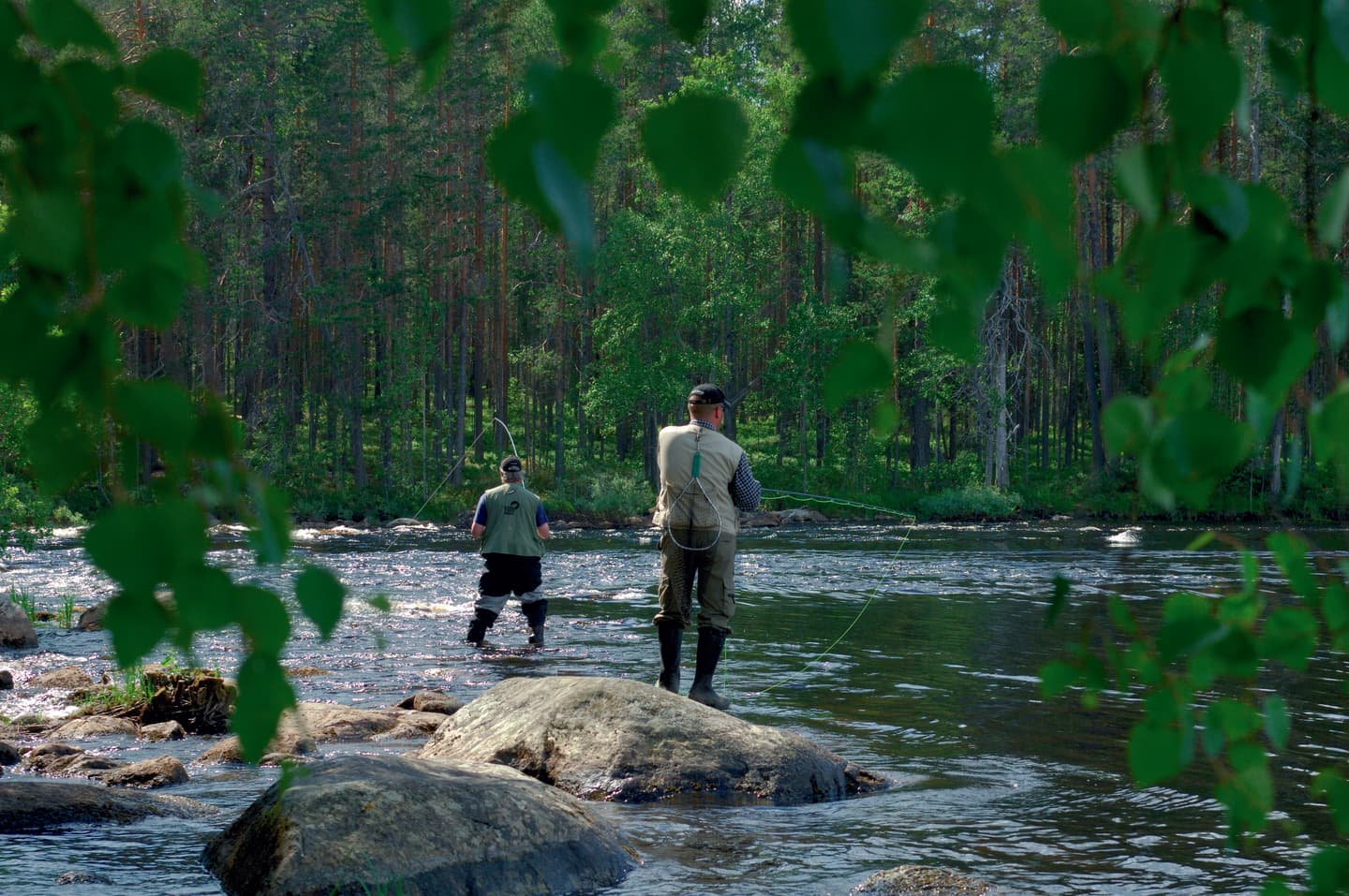 Kuva: Heikki Räsänen Kaksi kalastajaa seisoo virrassa kalastamassa.