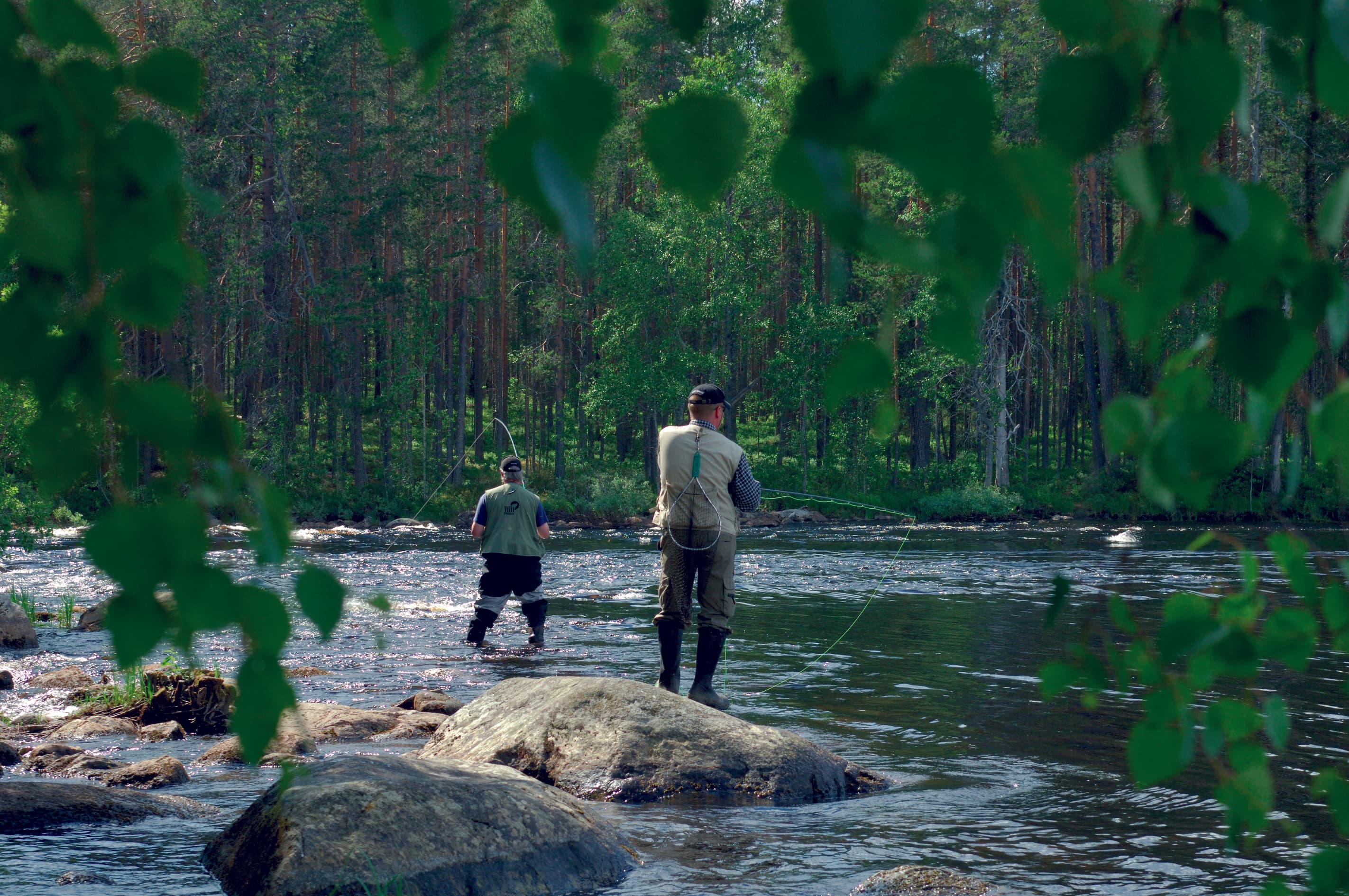 Kuva: Heikki Räsänen Kaksi kalastajaa seisoo virrassa kalastamassa.