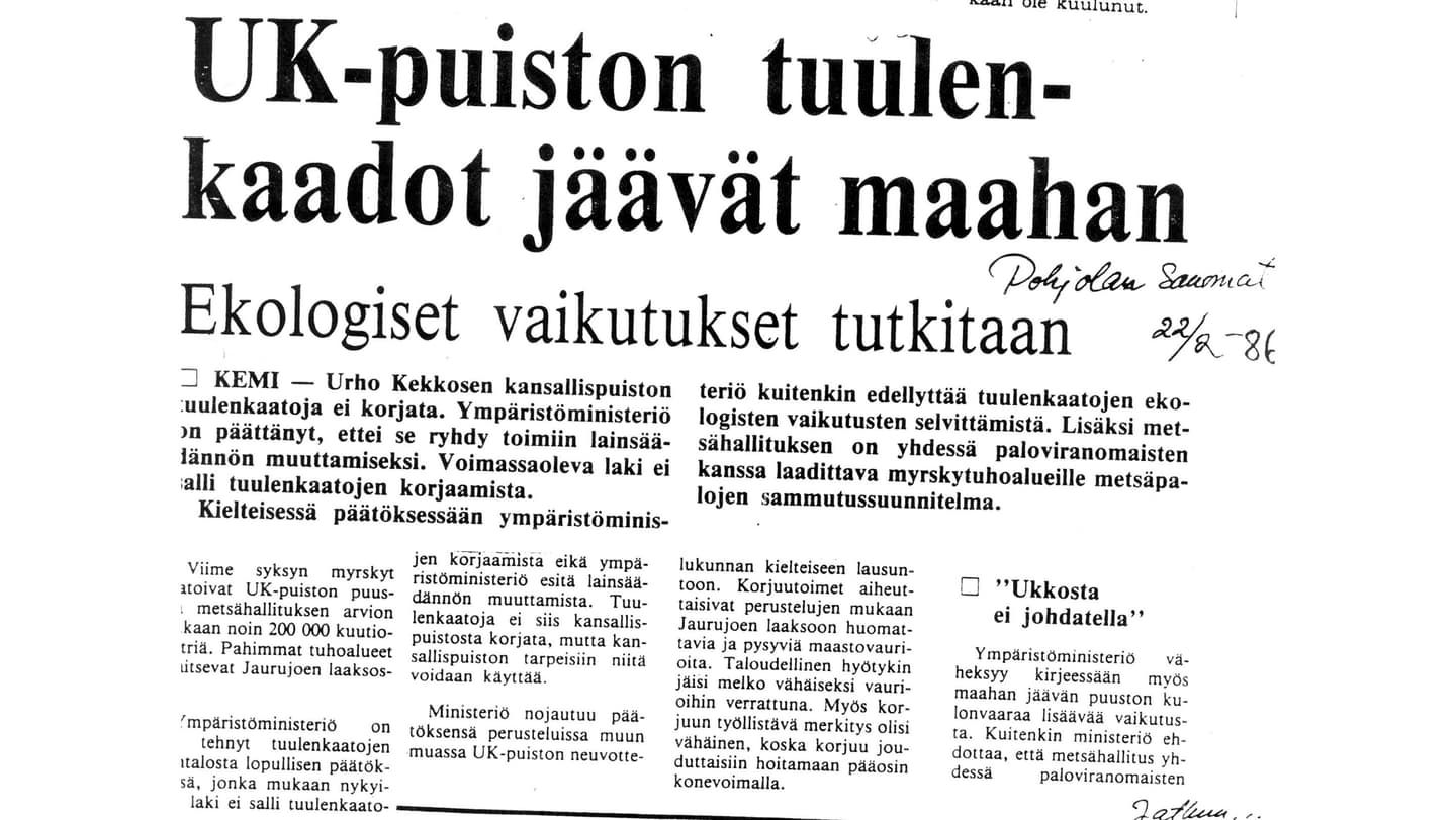 Kuva: Kristiina Aikio Vanha lehtileike, jossa kerrotaan, että tuulen kaatamat puut jäävät metsään.