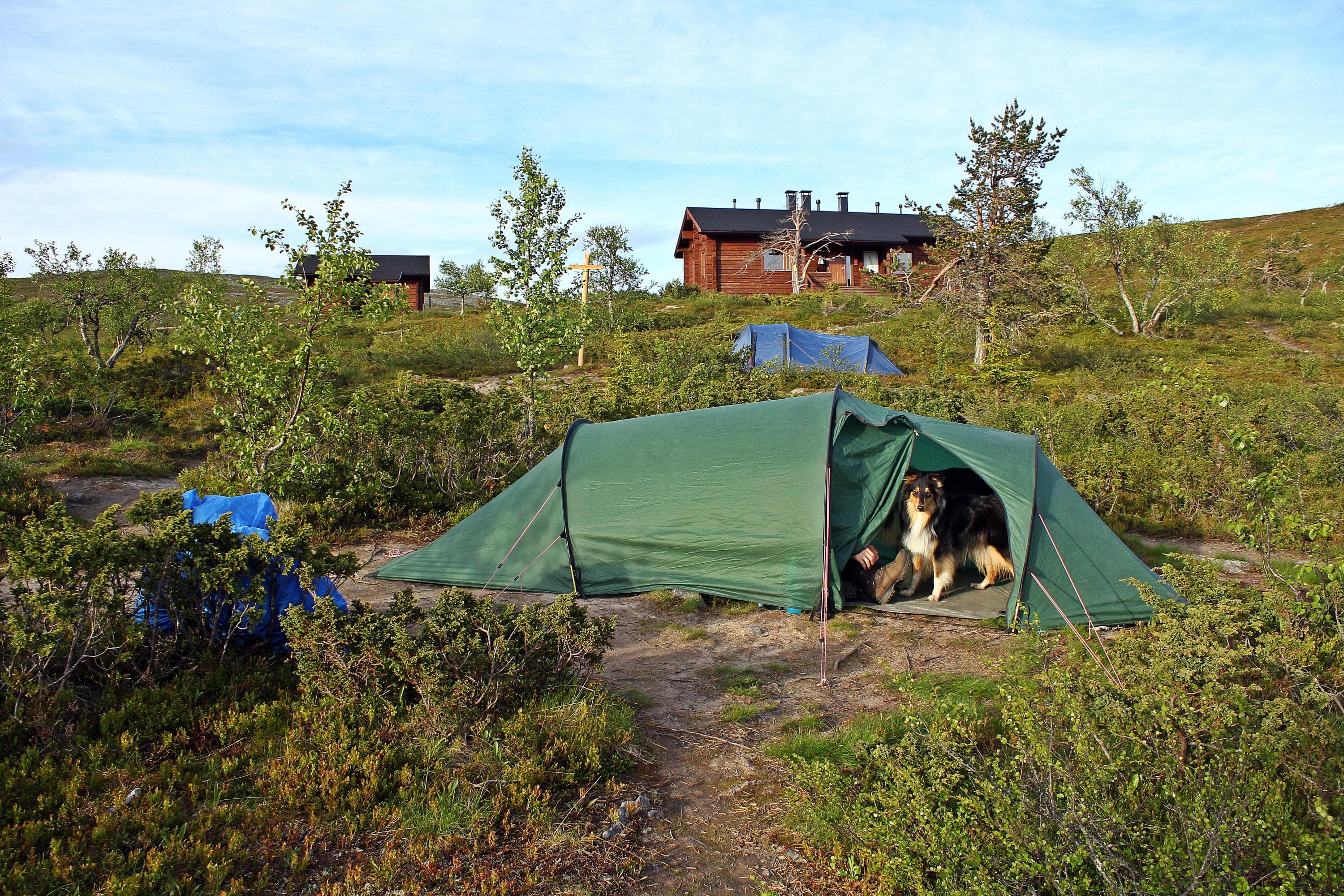 Image: Ilona Karjalainen Two tents in the yard of a wooden hut on the mountainside. The door of the tent in the foreground is open, and a long-haired dog is peeking out.
