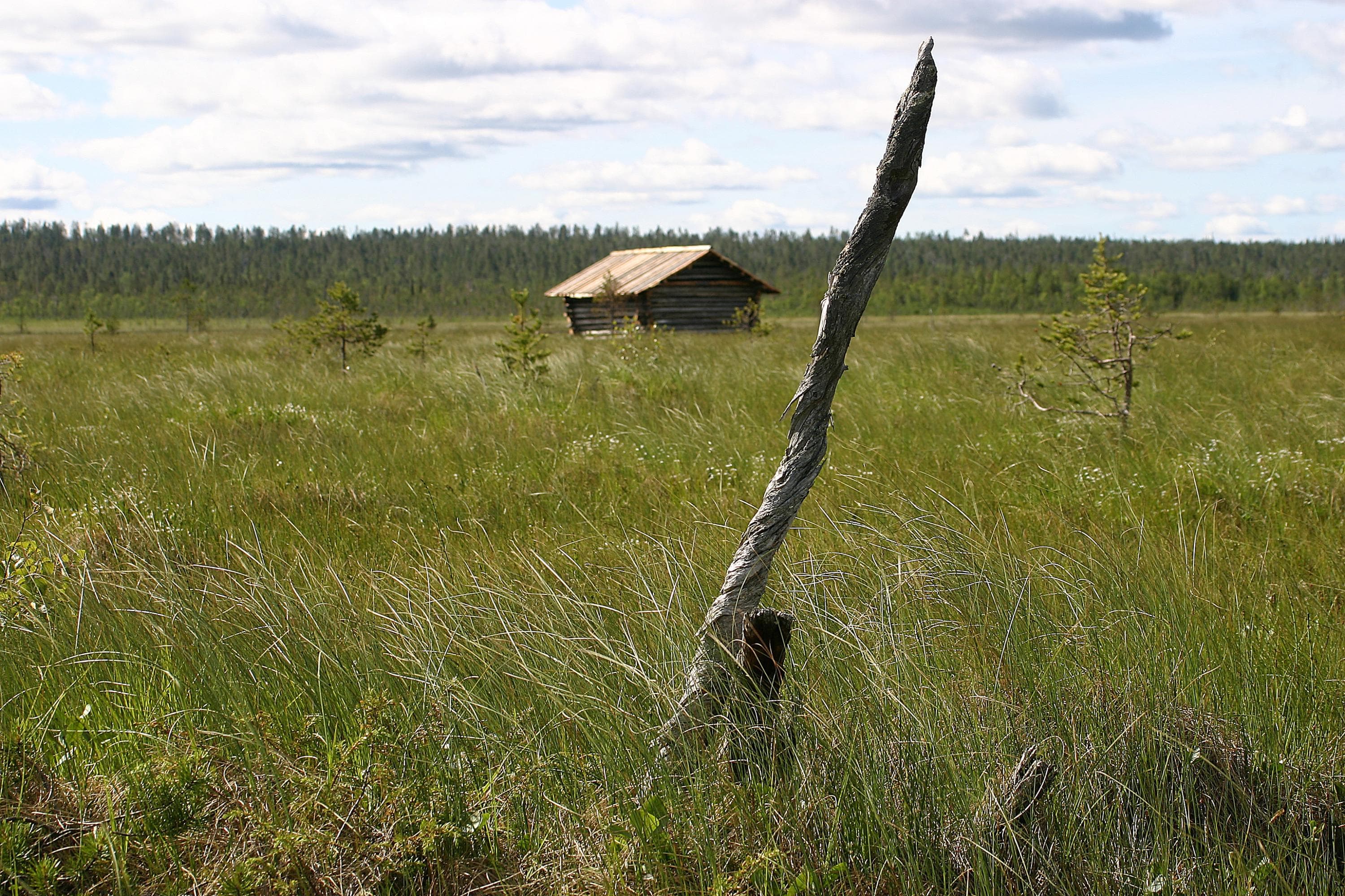Kuva: Juha Paso Kuvassa on heinäinen suo, jonka taka-alalla on vanha harmaa niittylato. Kuvan etualalla on harmaa puinen heinäsuova.