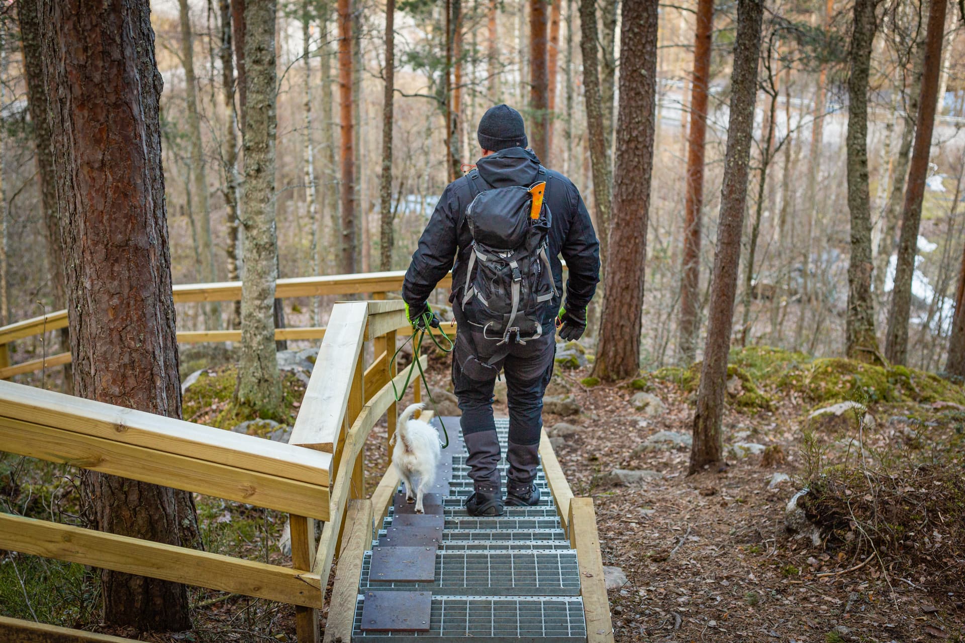 Image: Marika Piilonen Retkeilijä ja koira portaissa. Portaissa on metalliritilät ja puinen kaide sekä koiria varten vanerilevyistä tehty kaista toisessa reunassa.