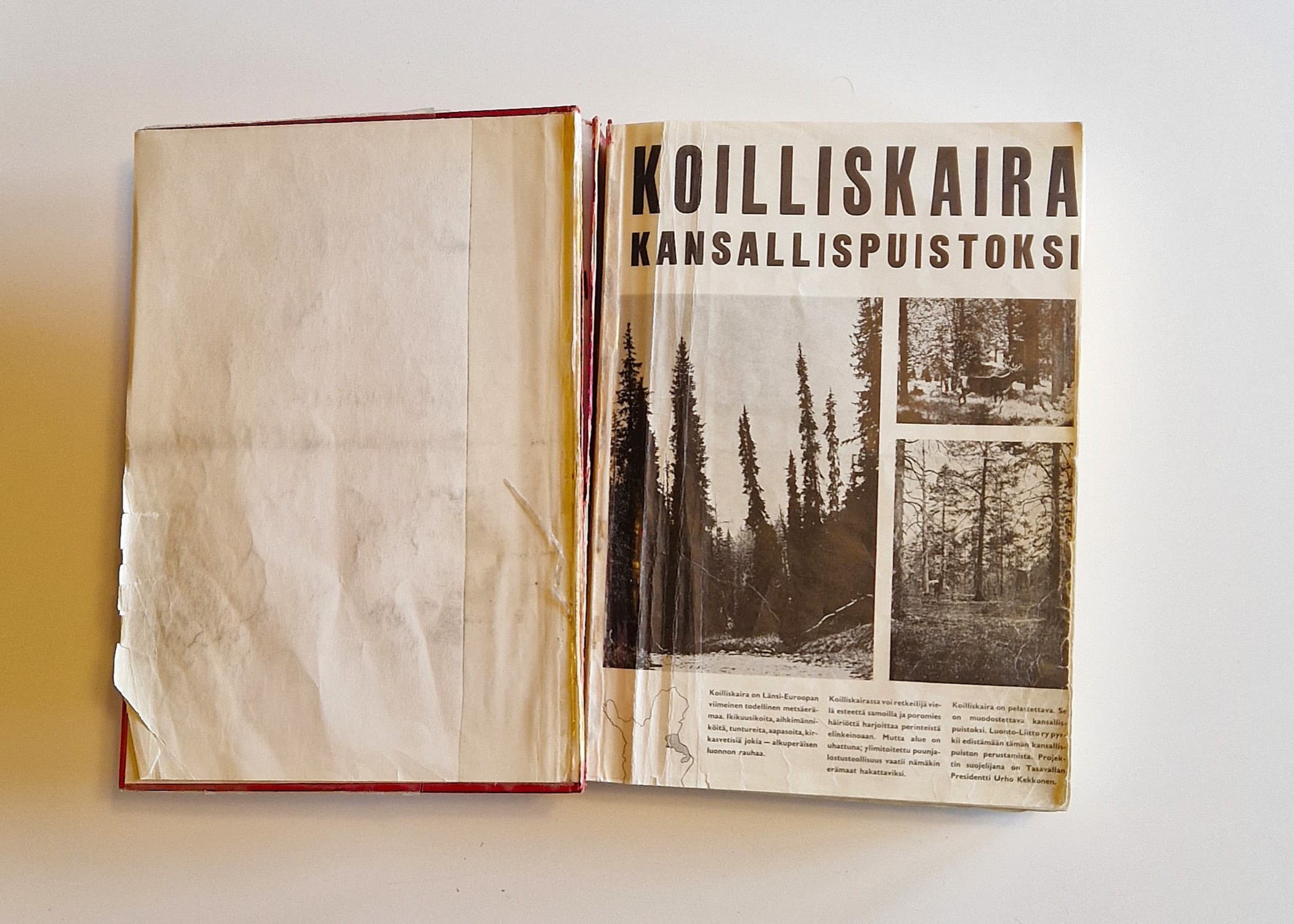 Bild: Konsta Verta Insidan av ett medborgarupprop som kortfattat förklarar varför en nationalpark bör inrättas.
