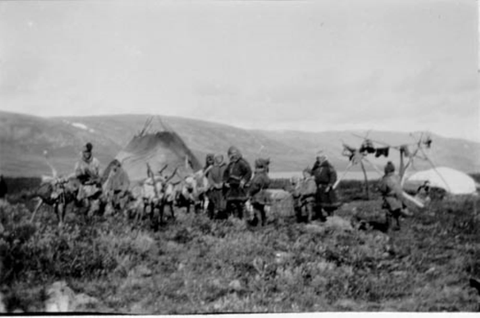 Image: G.P. Ekbom / Museovirasto The black-and-white image shows Sámi people and traditional kota structures in an open fell landscape.