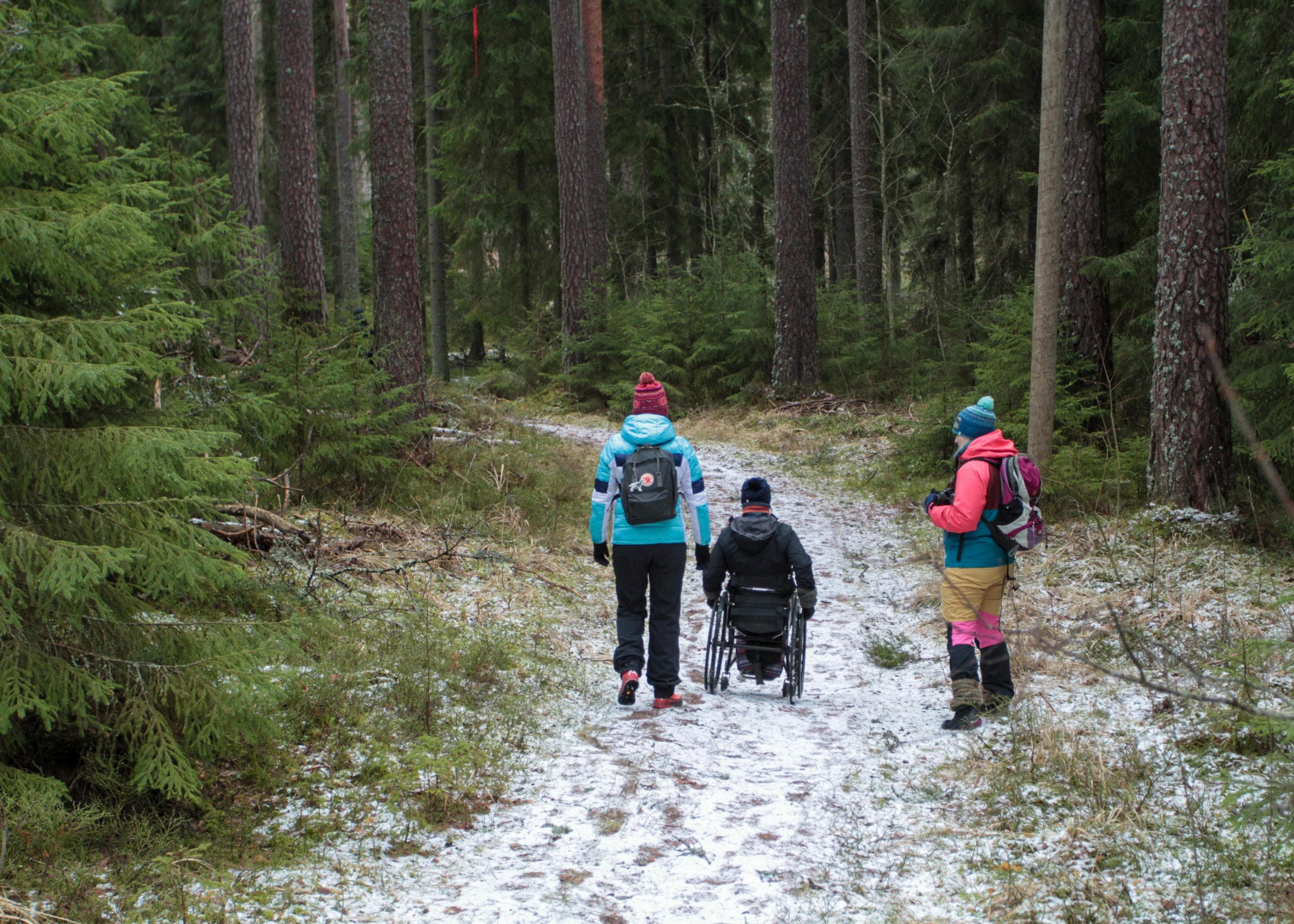 Kuva: Anemone Aaltonen Kolme henkilöä metsäpolulla, jossa on lumilaikkuja. Yksi henkilö käyttää pyörätuolia, ja kaksi muuta kävelee vieressä. Kaikki ovat pukeutuneet lämpimästi.