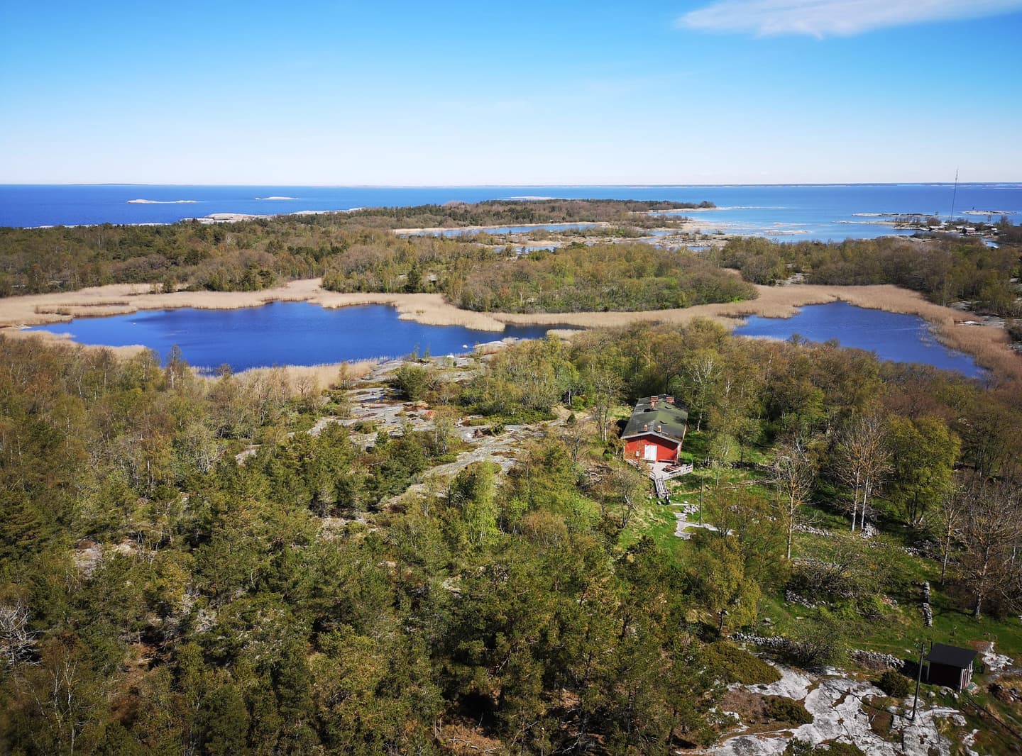 Kuva: Marjo Kekki Metsää jonka keskellä on pieni järvi. Kaukana siintää meri.