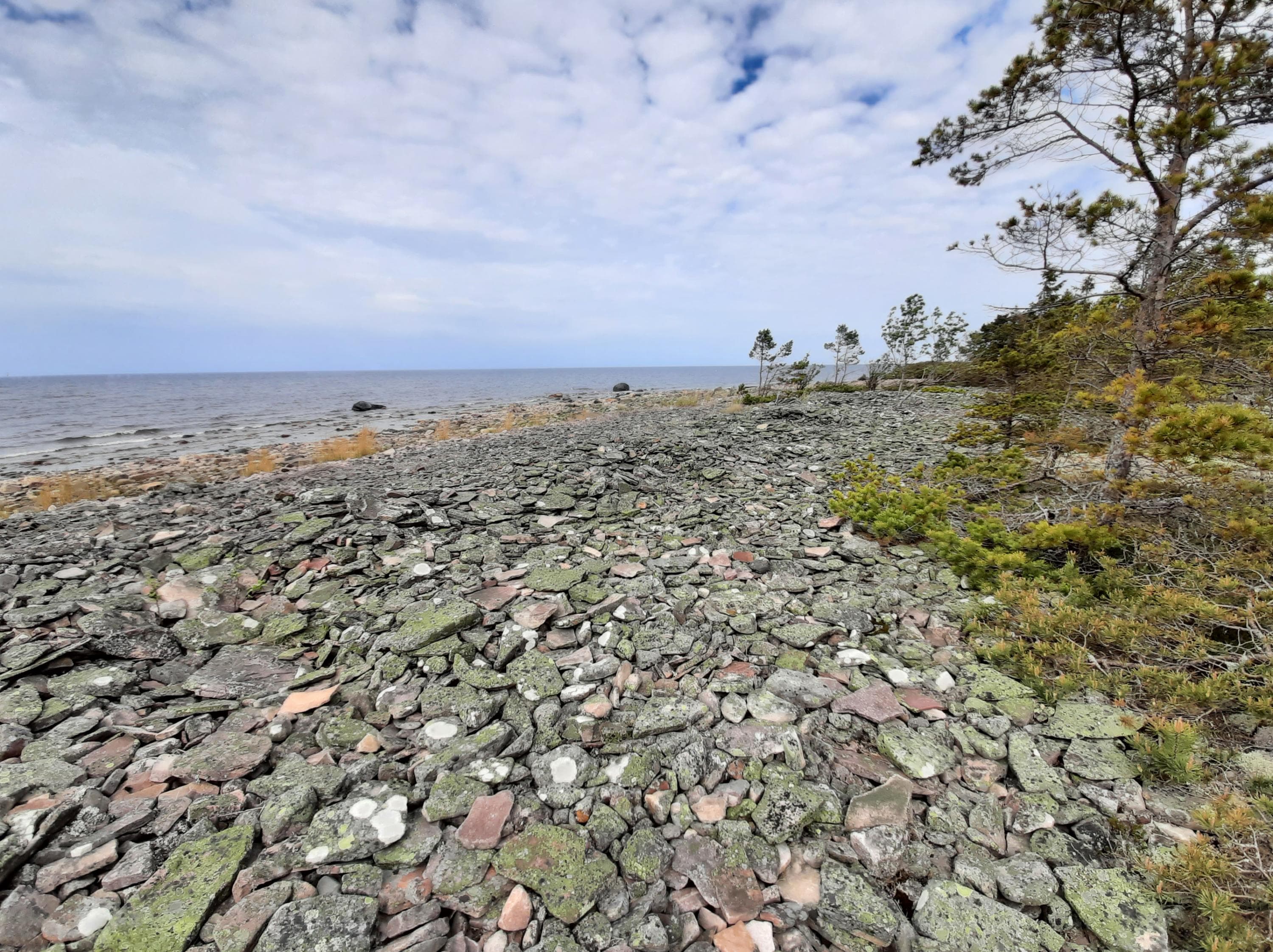 Image: Marjo Kekki A seashore with rocks of various sizes and colors.