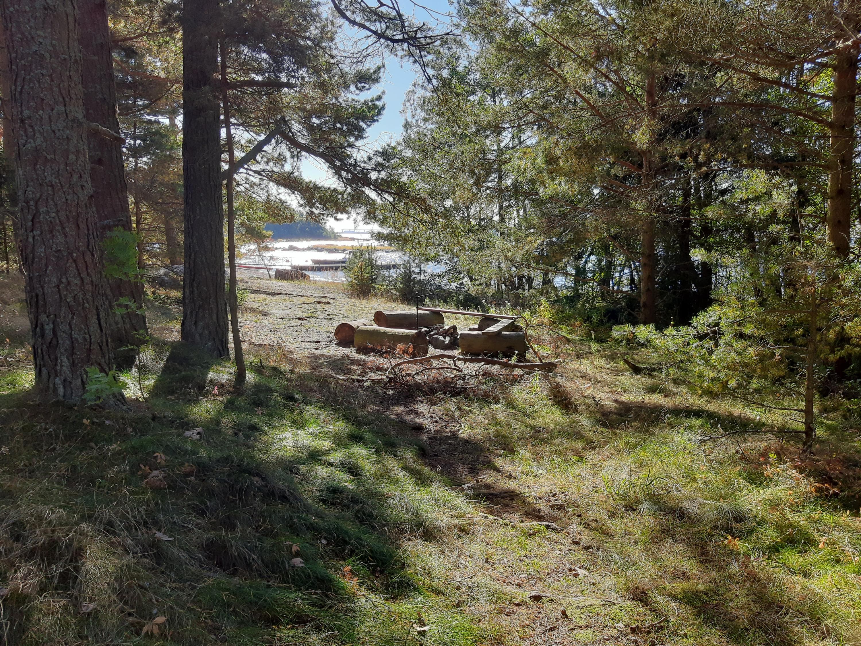 Image: Marjo Kekki A fire pit and benches on a sandy beach. There is a coniferous forest around, and the sea is visible in the background.