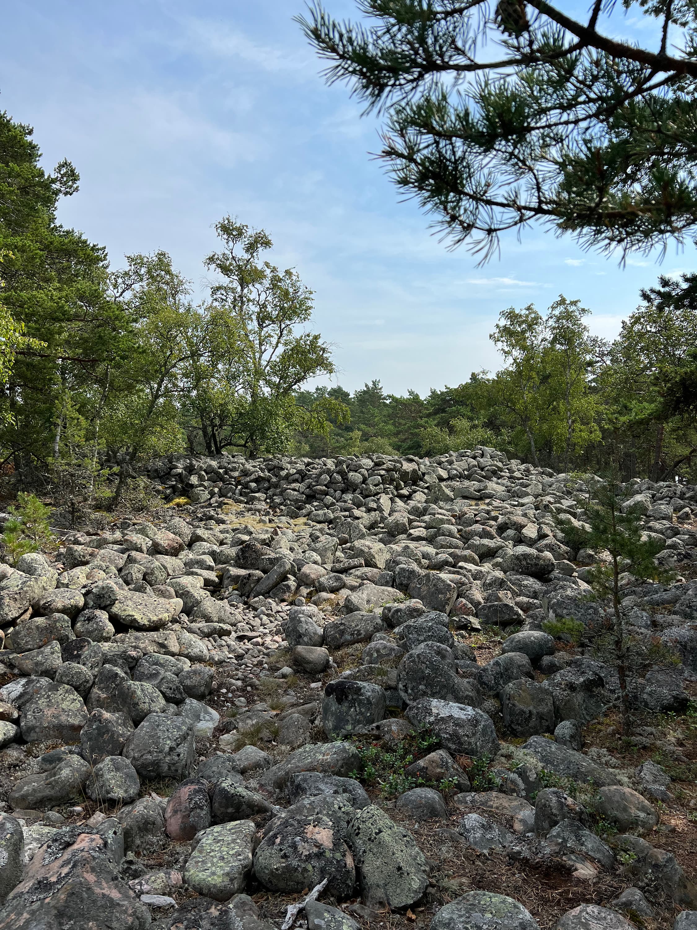Image: Saija Salo Rocks of various sizes and shapes in a field-like area.