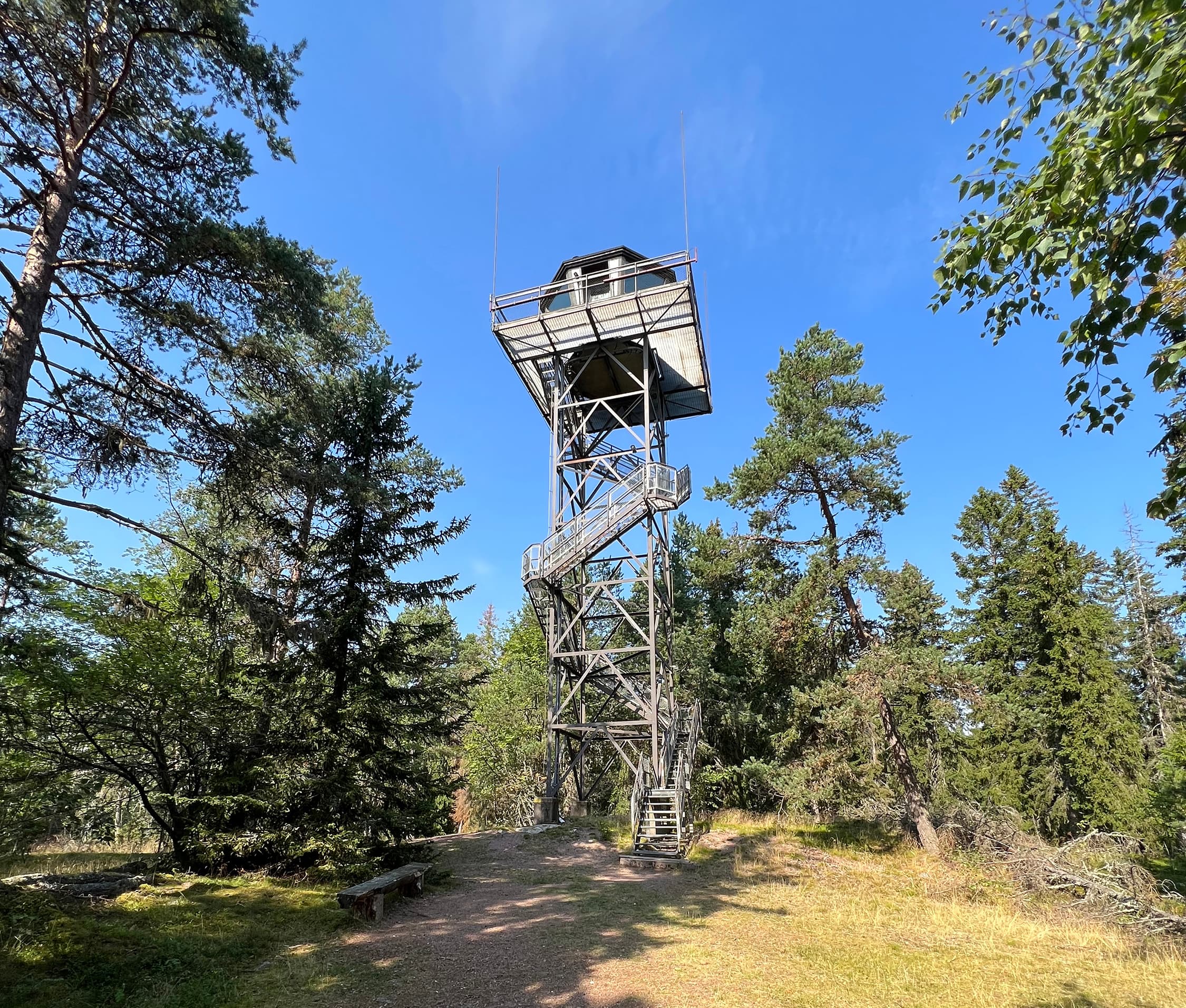 Image: Saija Salo Korkea näkötorni metsän keskellä.