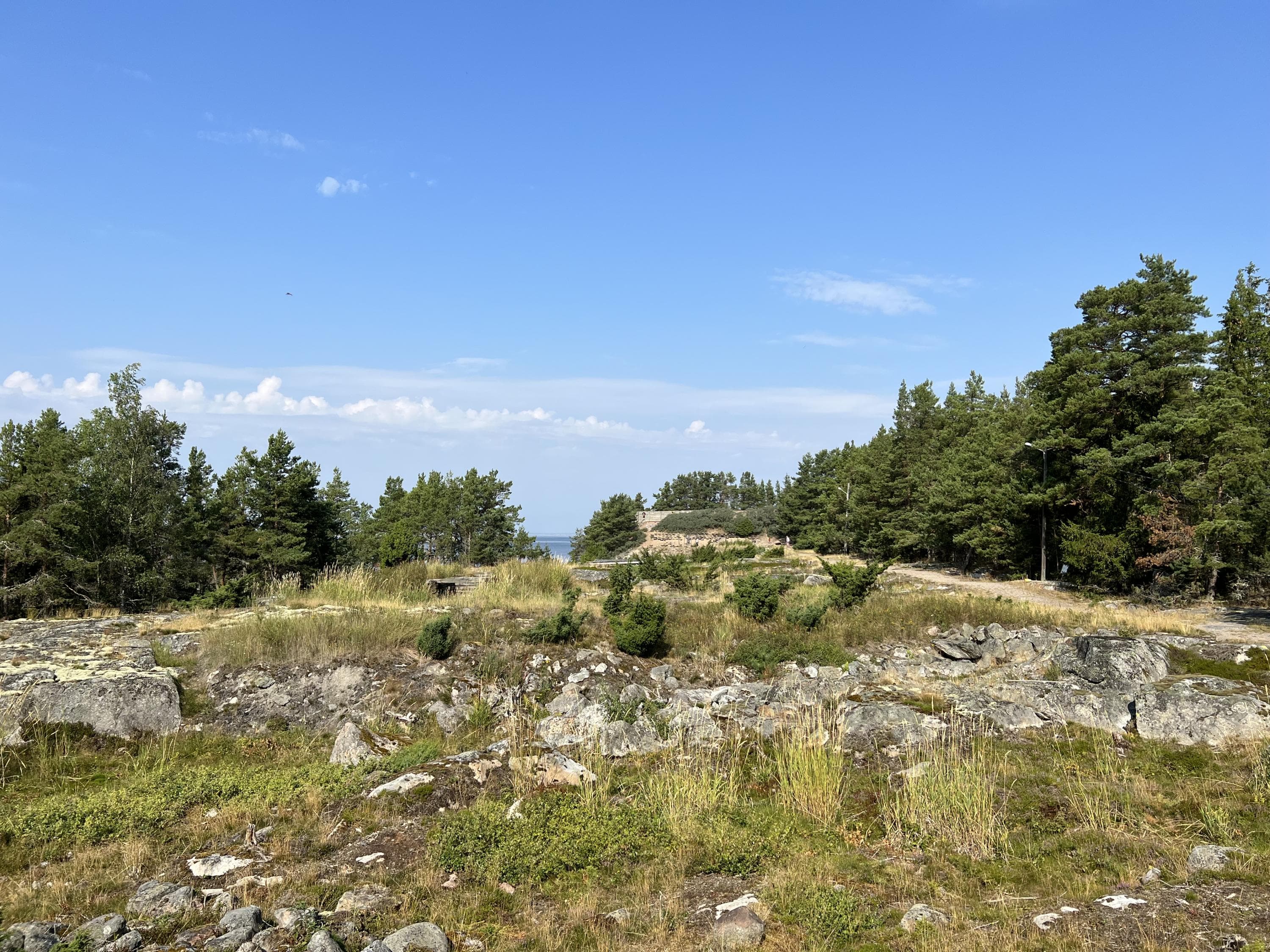 Image: Saija Salo Rocky terrain with low vegetation. There is a forest in the background.