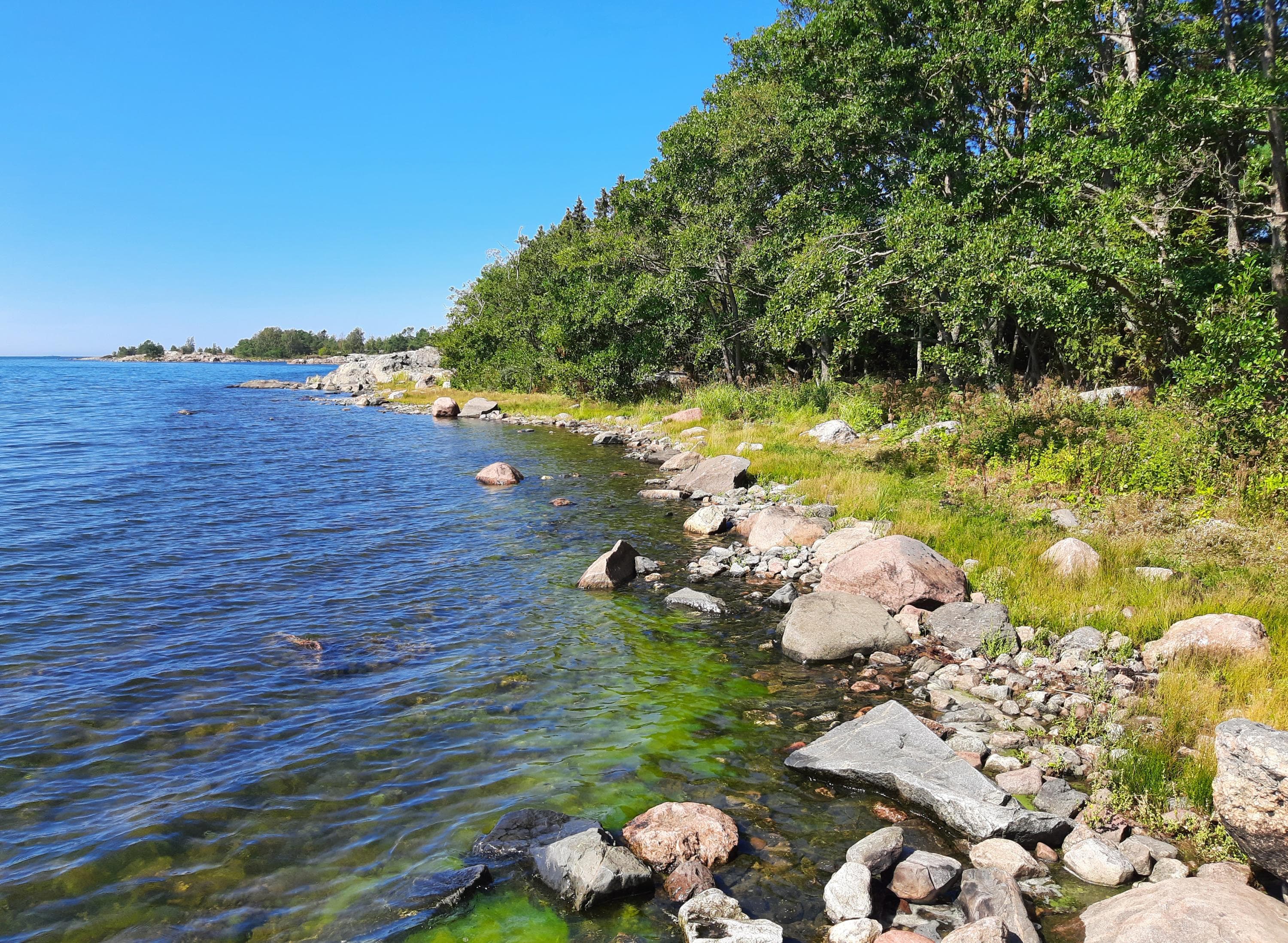 Image: Marjo Kekki Kivikkoista merenrantaa, rannalla kasvaa lehtipuita ja pensaita.