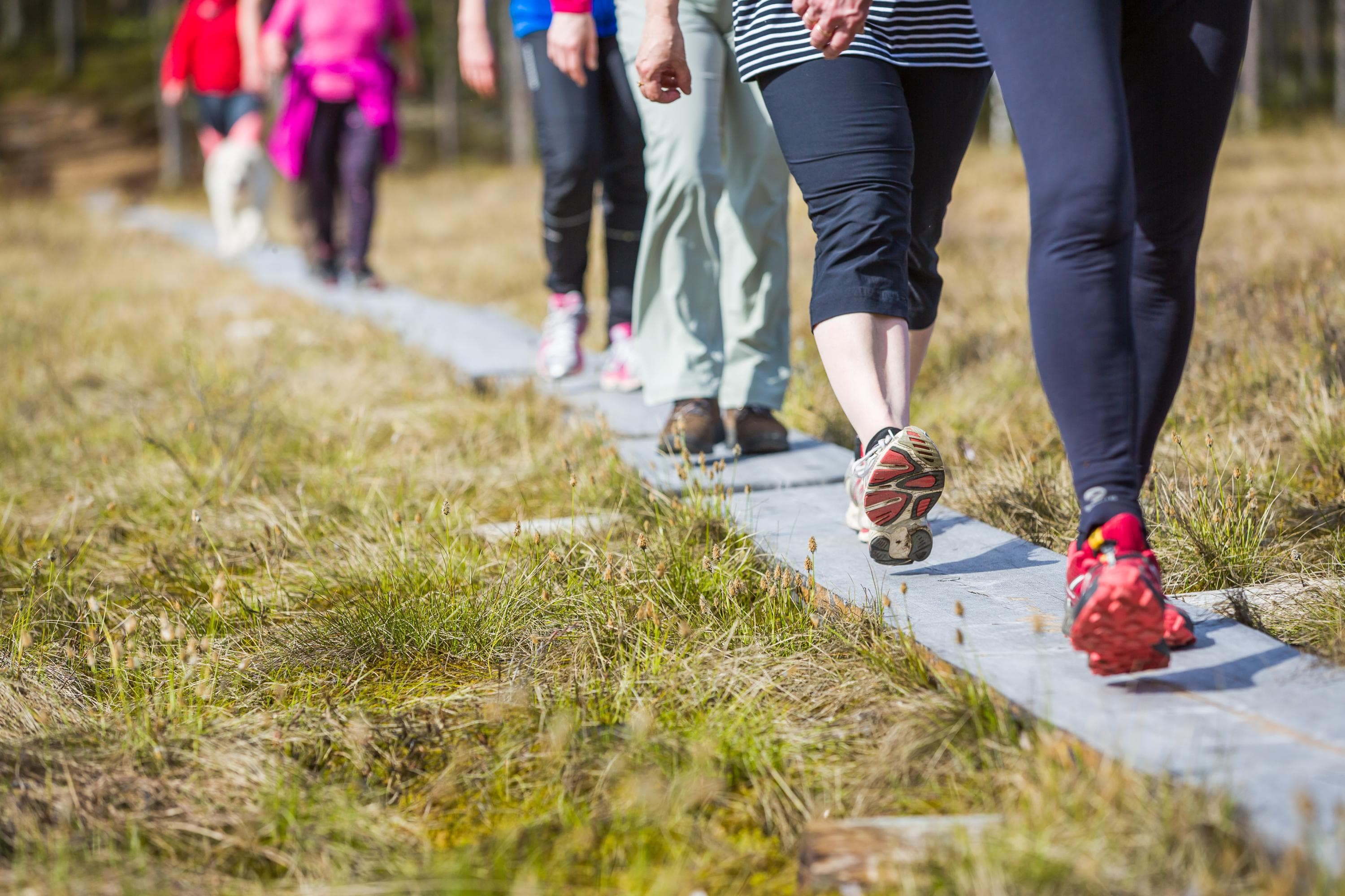 Kuva: Petri Jauhiainen Retkeilijöitä pitkospuilla.