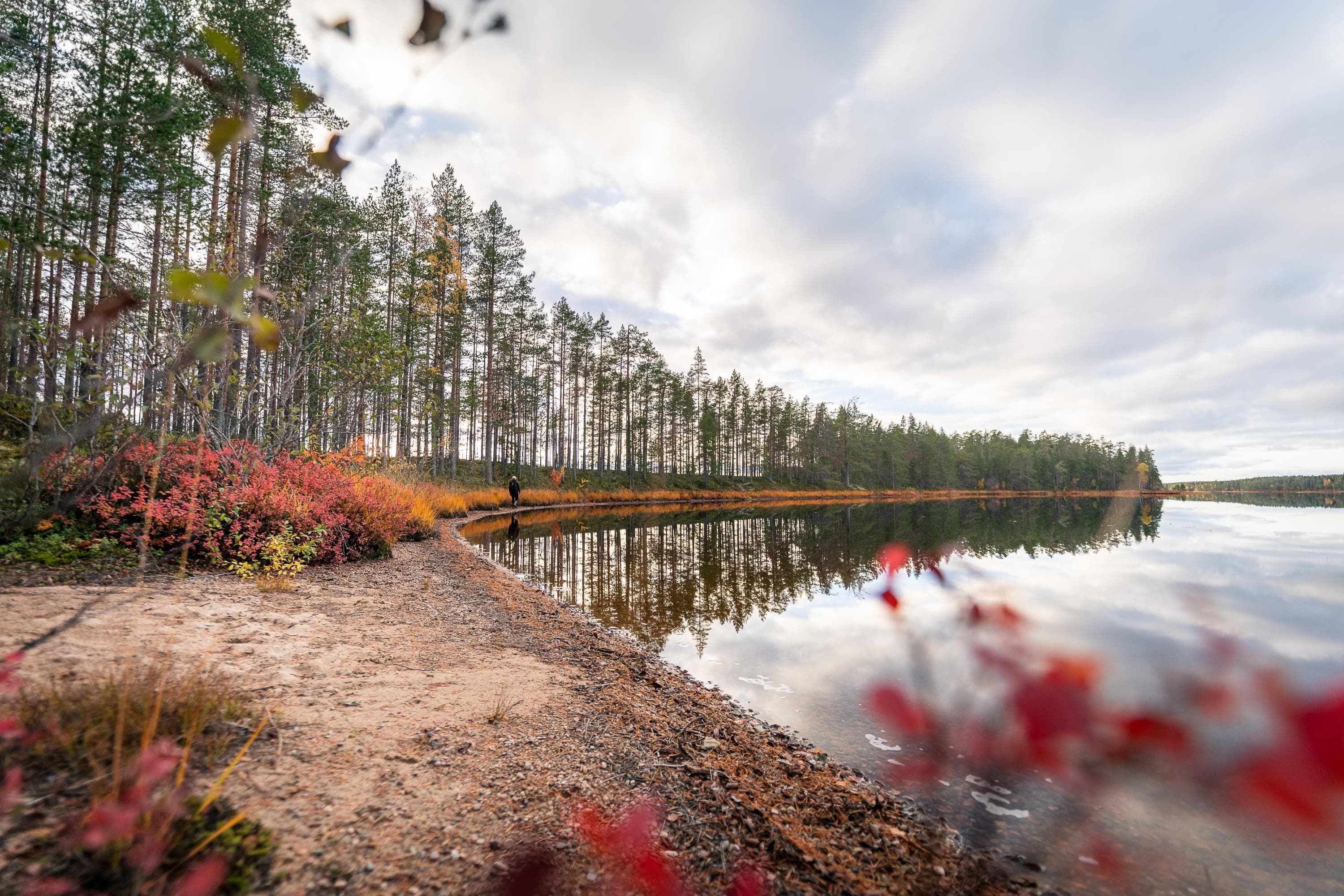 Kuva: Mitja Piipponen Hiekkarantainen kapea harju, jonka keskellä kasvaa havupuita.