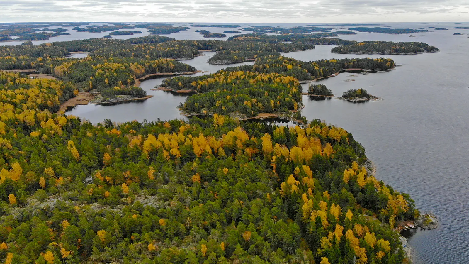 Image: Hans-Erik Nyman A large forested island with some yellow trees.