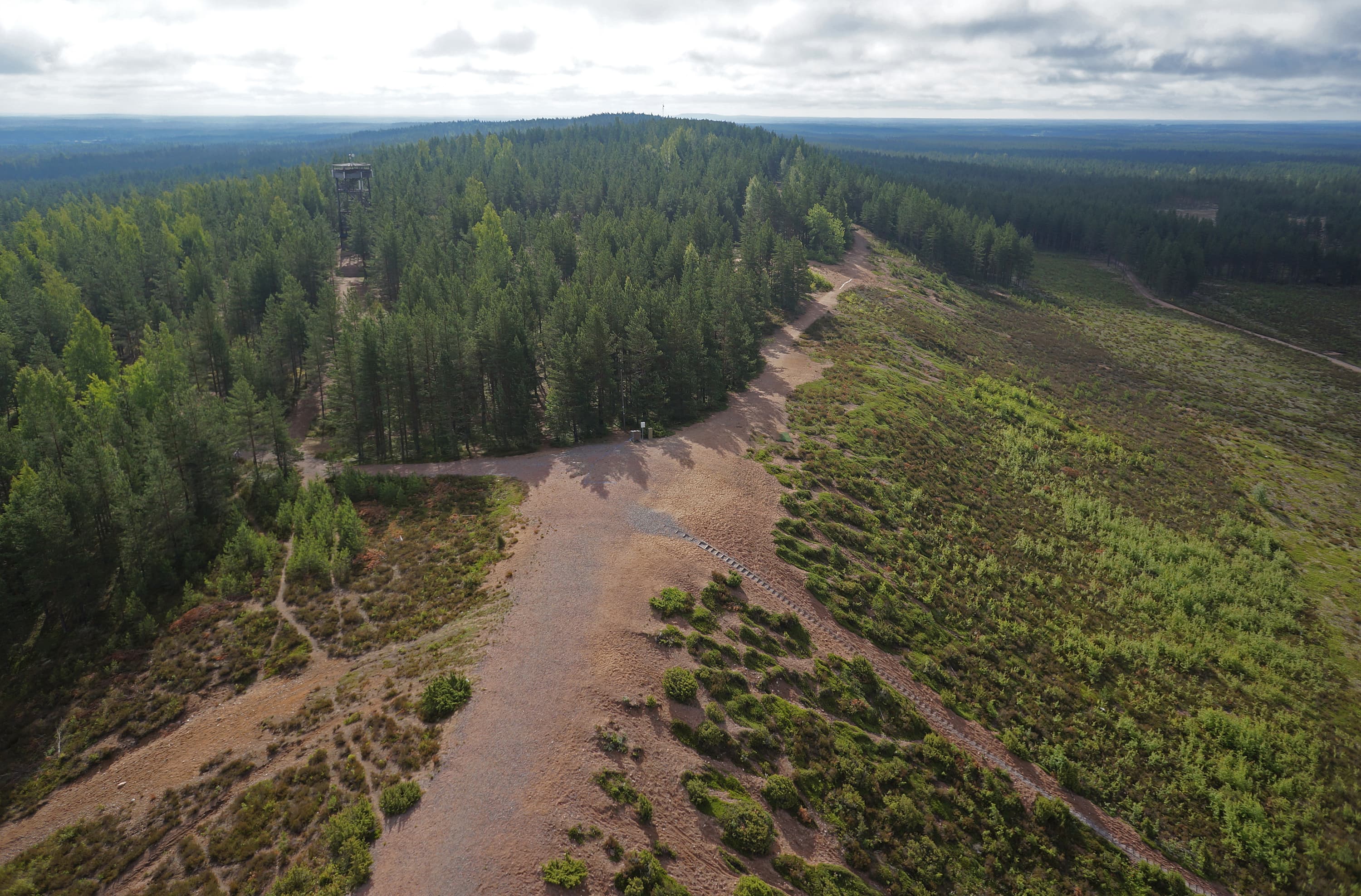 Kuva: Timo Halme ja Tuomo Häyrinen Ilmakuva harjusta, jolla kasvaa havumetsää. Harjun suuntaisesti menee hiekkapolku.