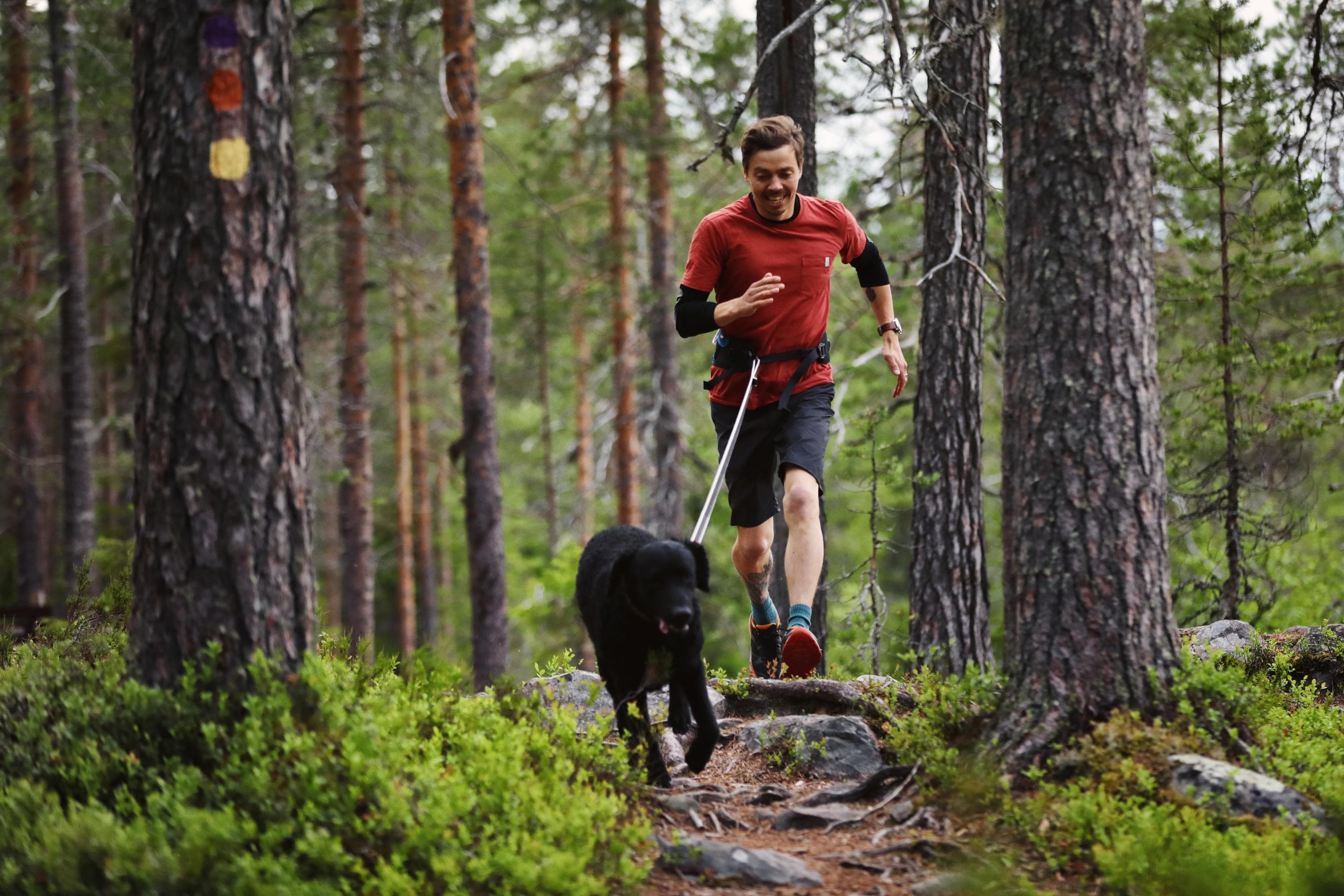 Mies ja koira juoksevat metsässä polkua pitkin.