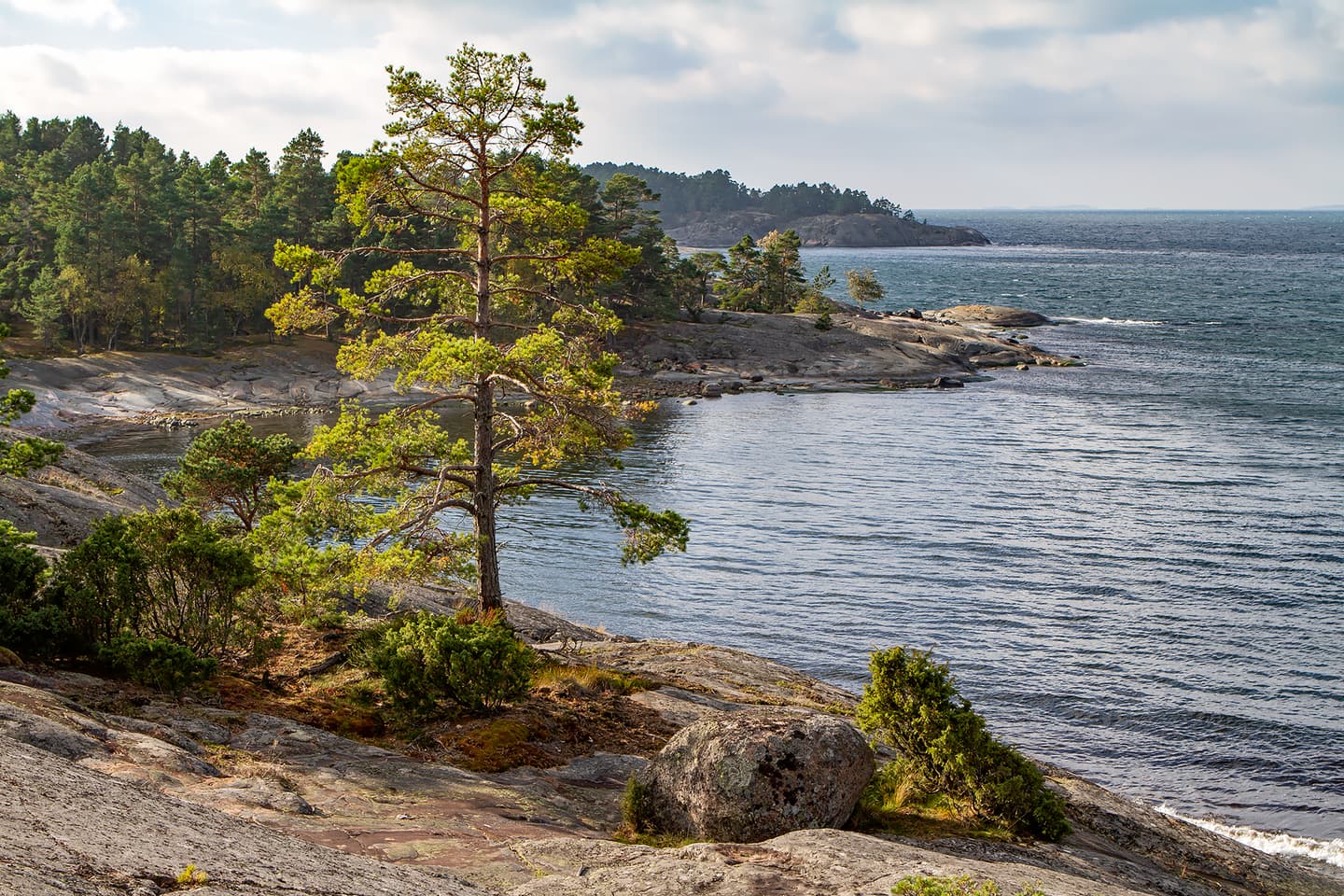 Image: Jari Kostet Coastal cliffs, conifers and the sea