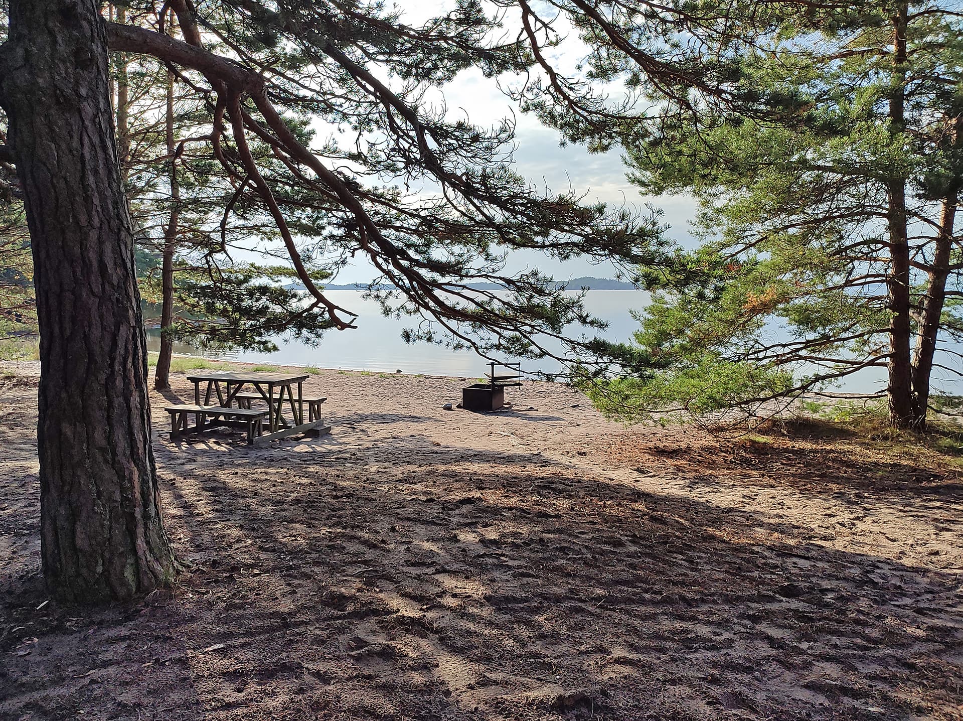 Image: Jussi Helimäki There are pine trees, a bench and a campfire site on the sandy beach and the sea in the background
