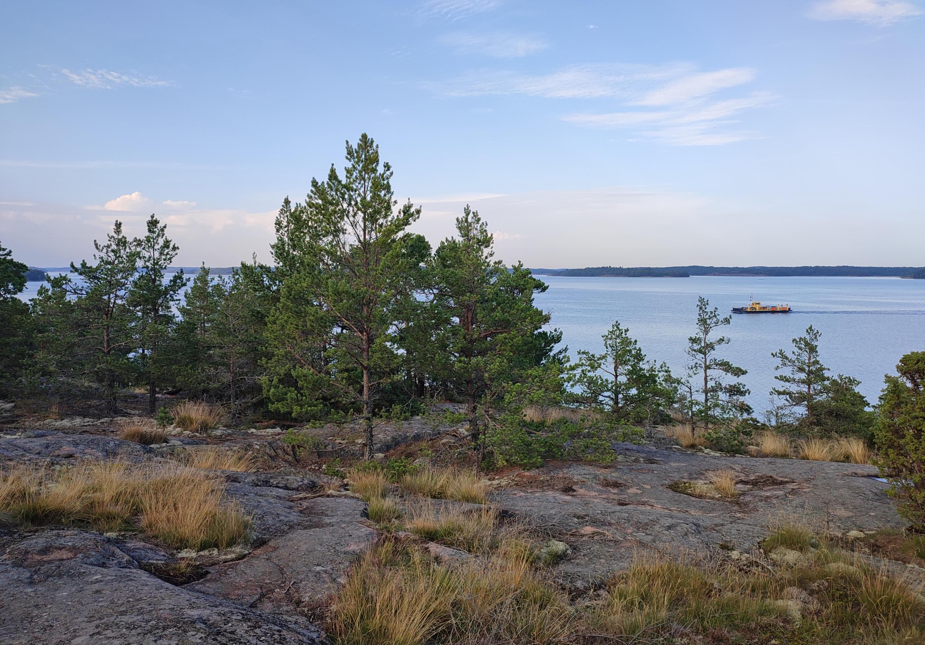 Image: Jussi Helimäki Wooded rock. There is further back the sea and a ferry running.