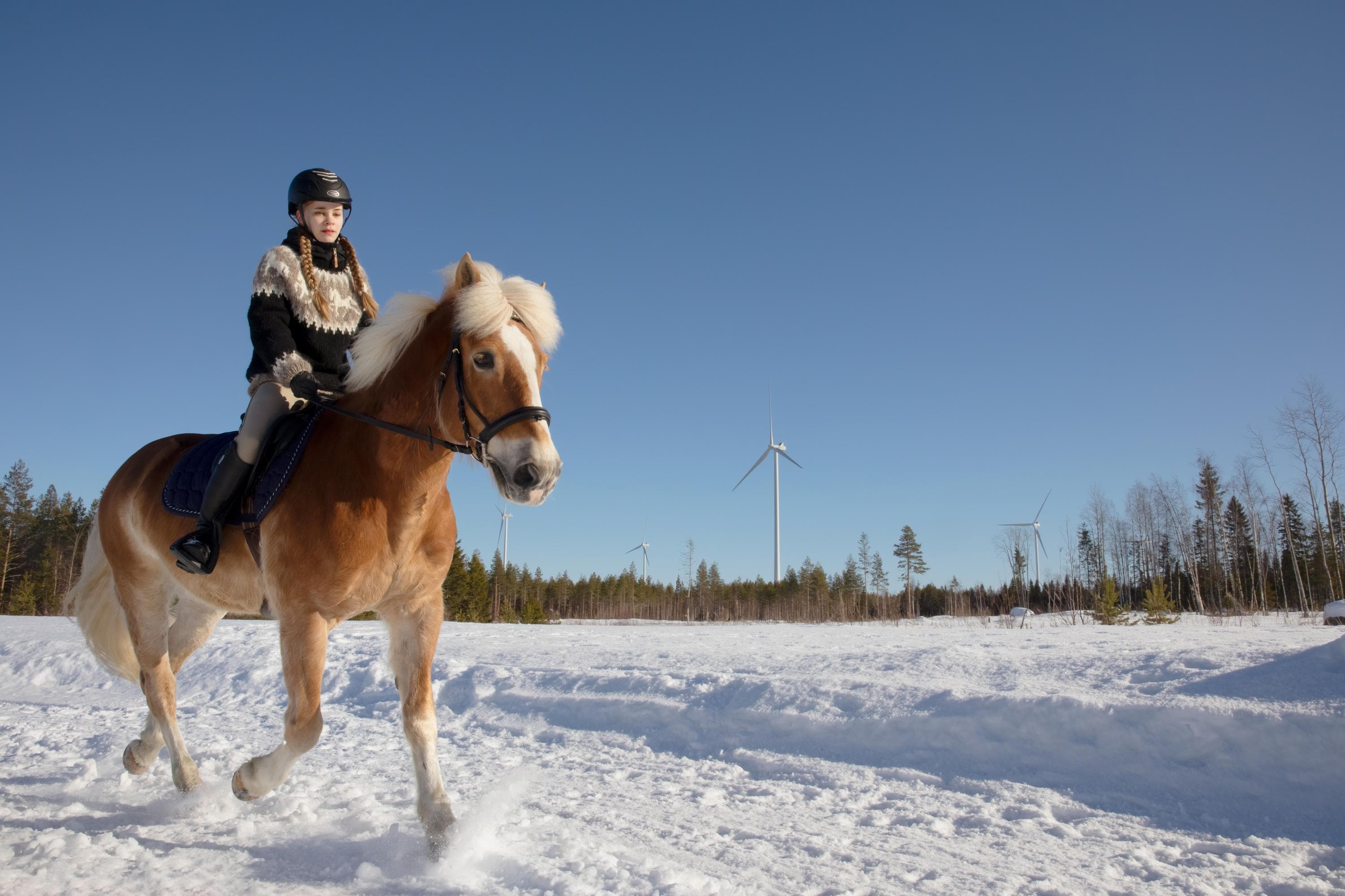 Bild: Katri Lehtola/Kuvatoimisto Keksi En häst och en ryttare på snön en solig vinterdag.