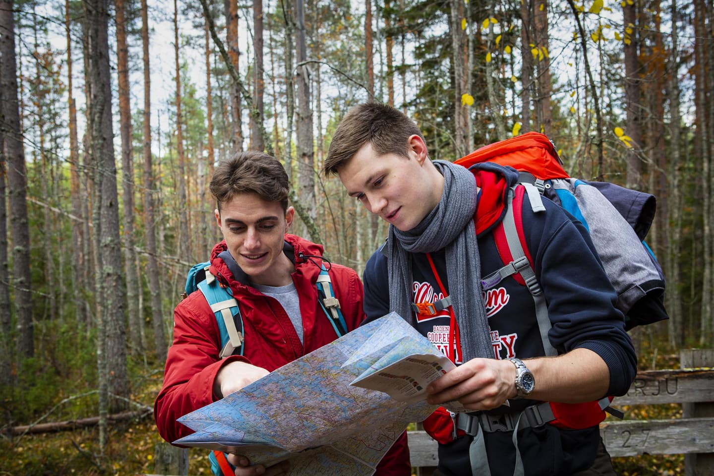 Bild: Salla Penttilä Två vandrare läser en karta i Helvetinjärvi nationalpark. Höstlig skog i bakgrunden.